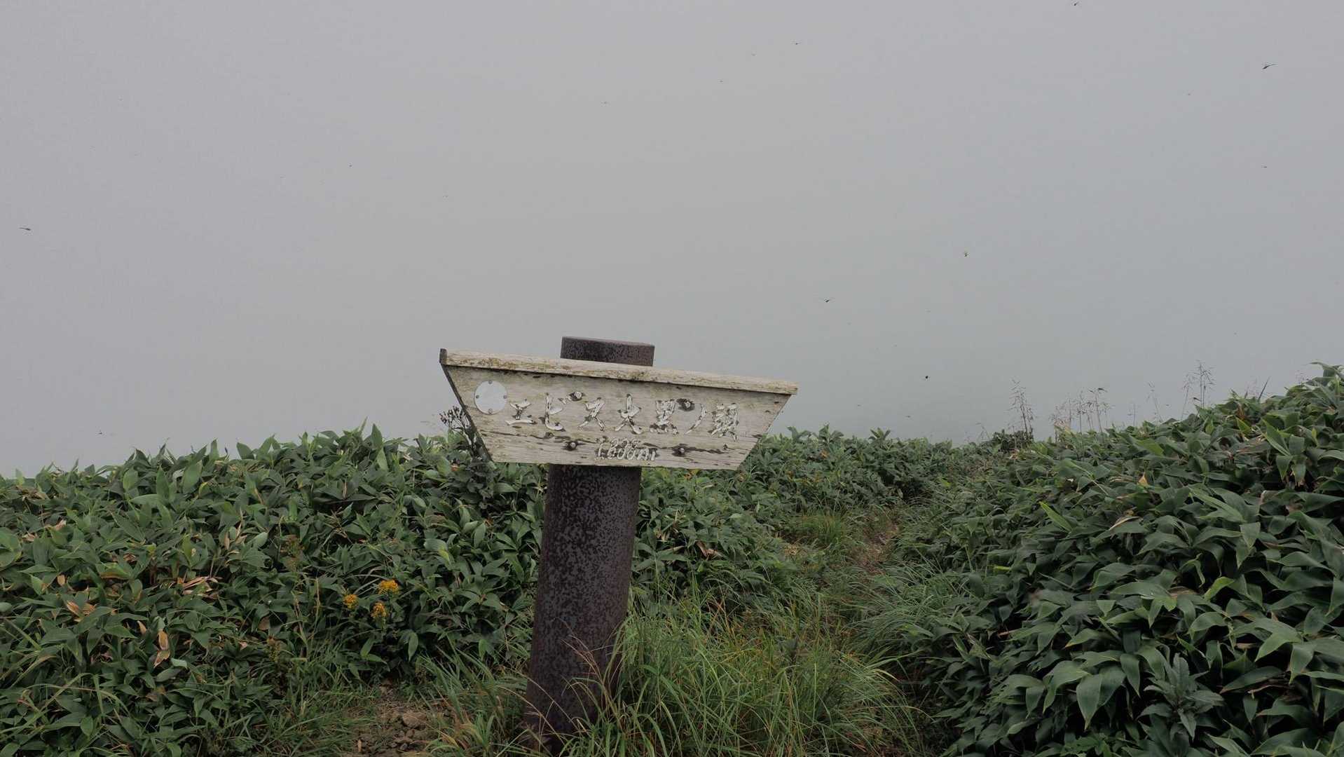 谷川岳主脈縦走（平標山・仙ノ倉山・万太郎山・谷川岳） の写真 48