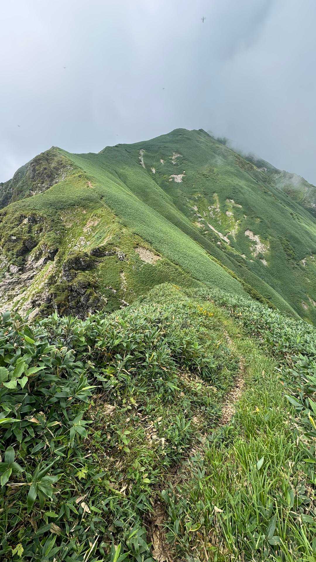 谷川岳主脈縦走（平標山・仙ノ倉山・万太郎山・谷川岳） の写真 49
