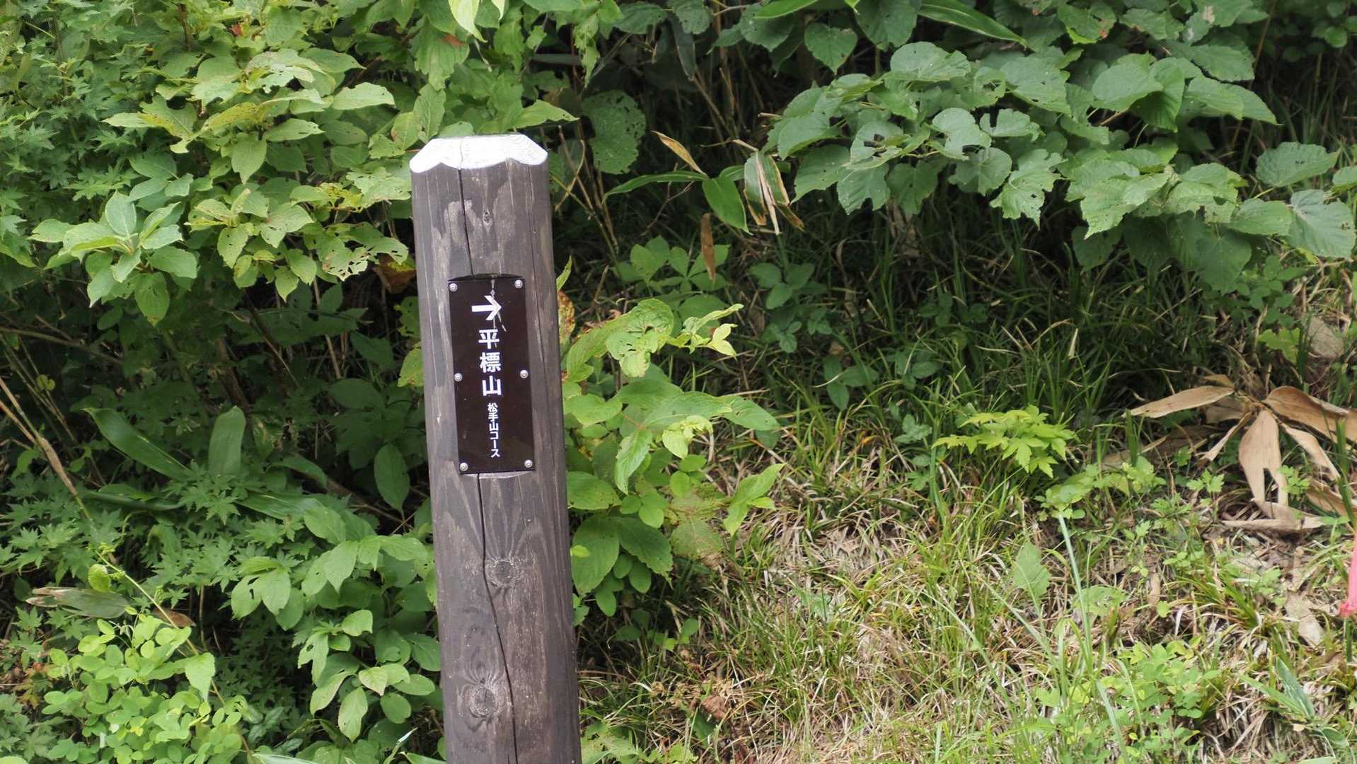 谷川岳主脈縦走（平標山・仙ノ倉山・万太郎山・谷川岳） の写真 3