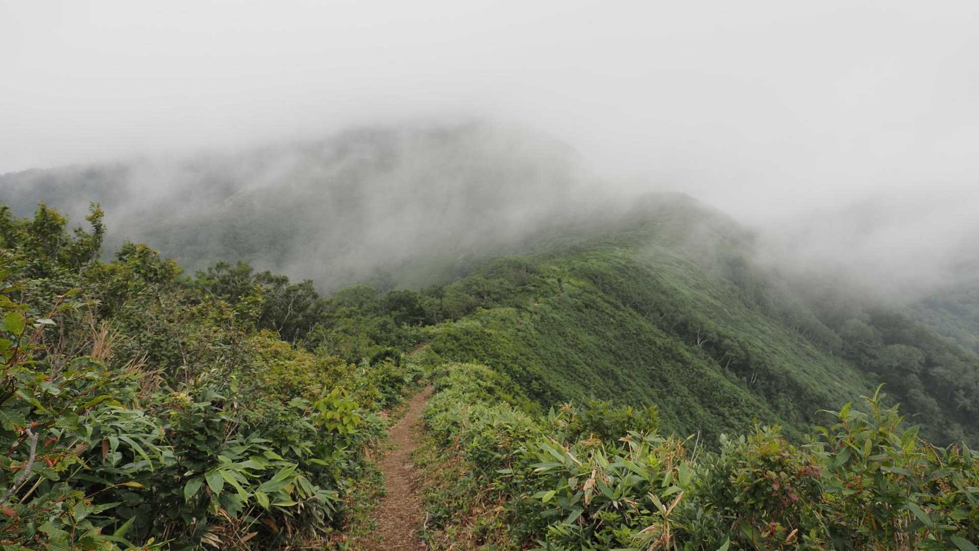 谷川岳主脈縦走（平標山・仙ノ倉山・万太郎山・谷川岳） の写真 6