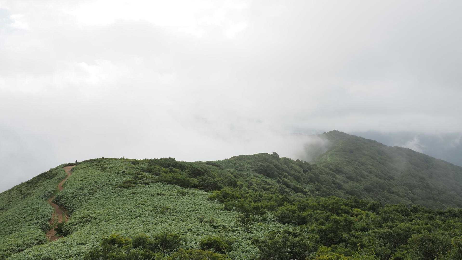 谷川岳主脈縦走（平標山・仙ノ倉山・万太郎山・谷川岳） の写真 8