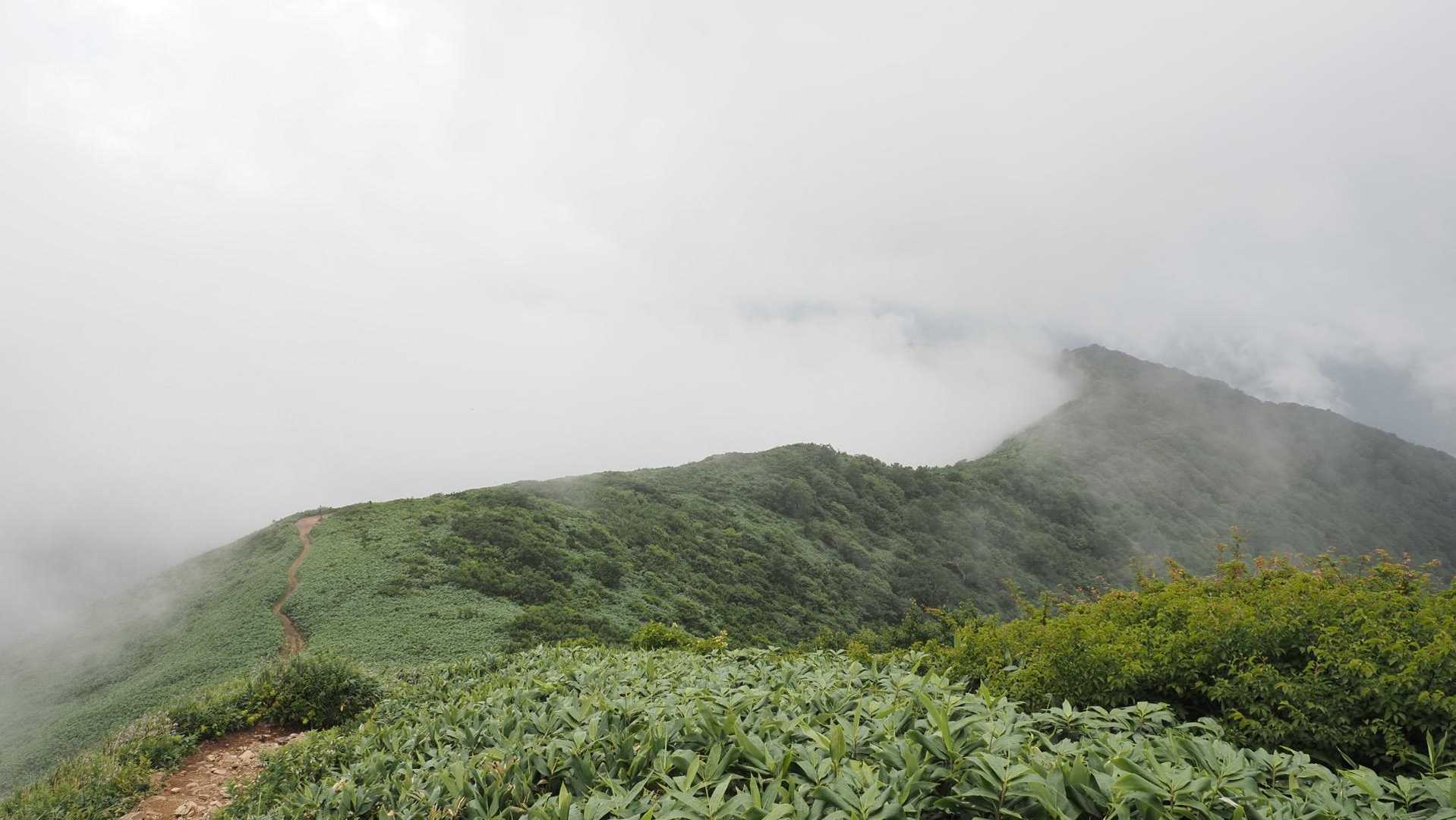 谷川岳主脈縦走（平標山・仙ノ倉山・万太郎山・谷川岳） の写真 9