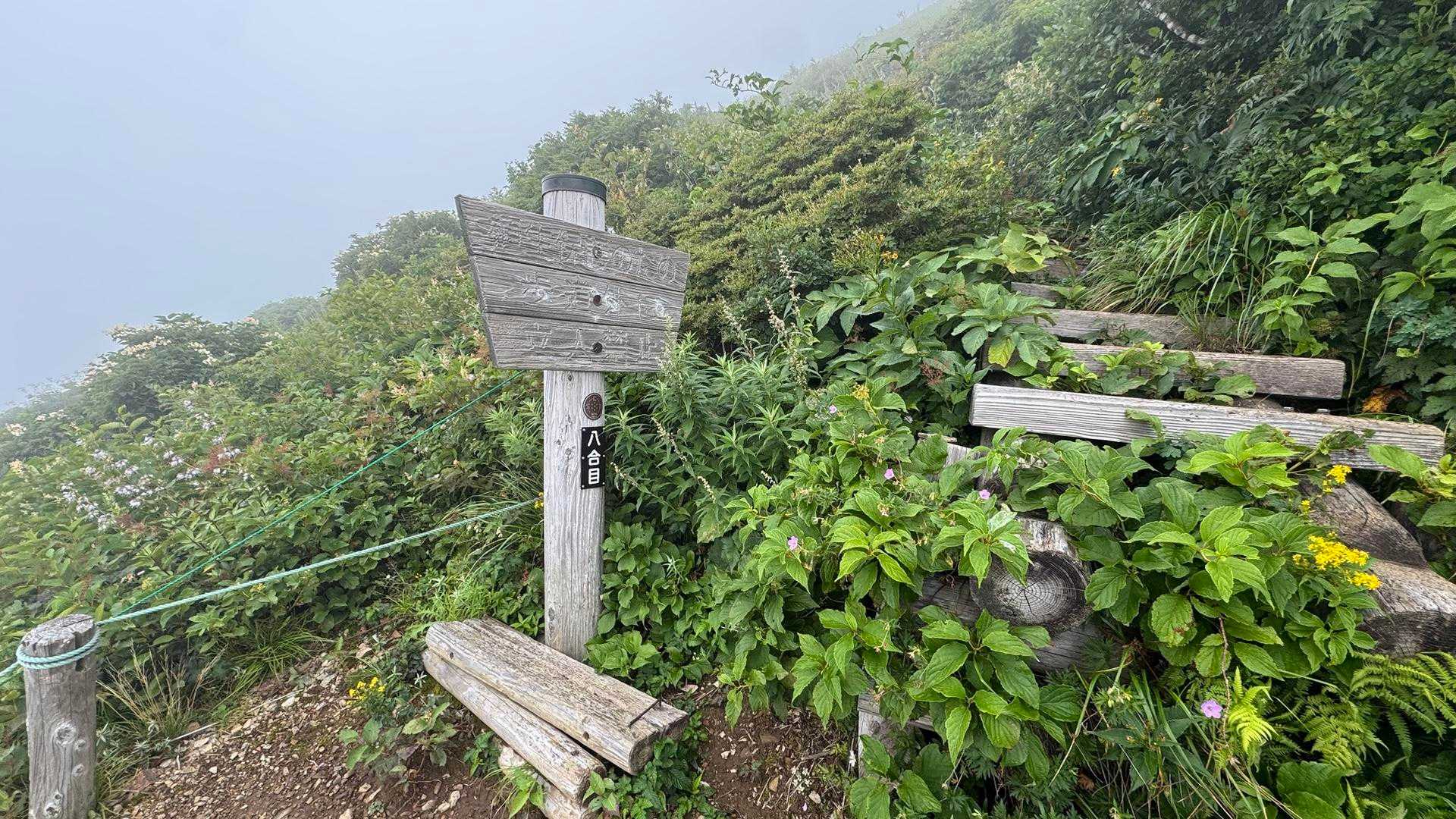 谷川岳主脈縦走（平標山・仙ノ倉山・万太郎山・谷川岳） の写真 10