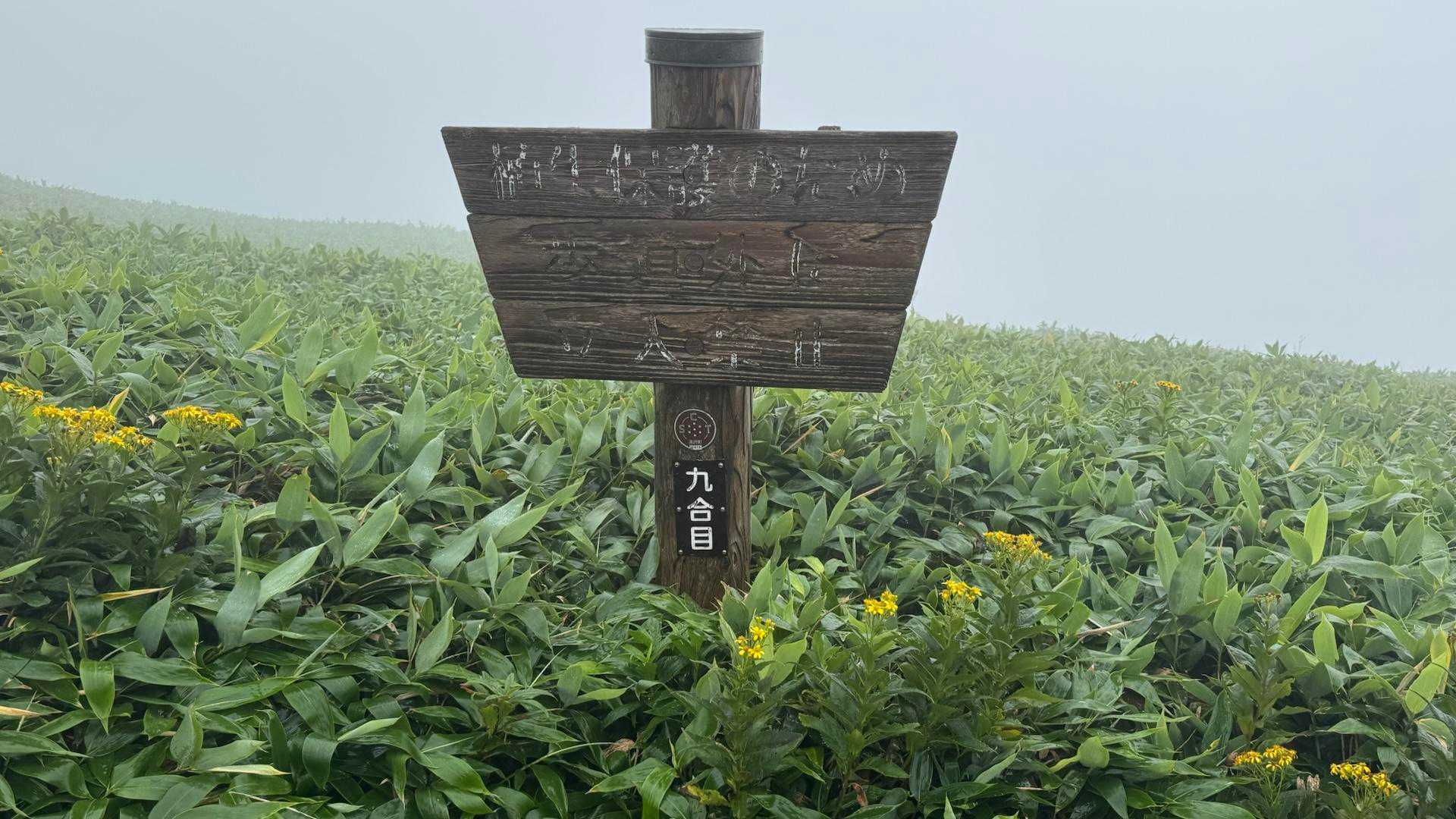 谷川岳主脈縦走（平標山・仙ノ倉山・万太郎山・谷川岳） の写真 11
