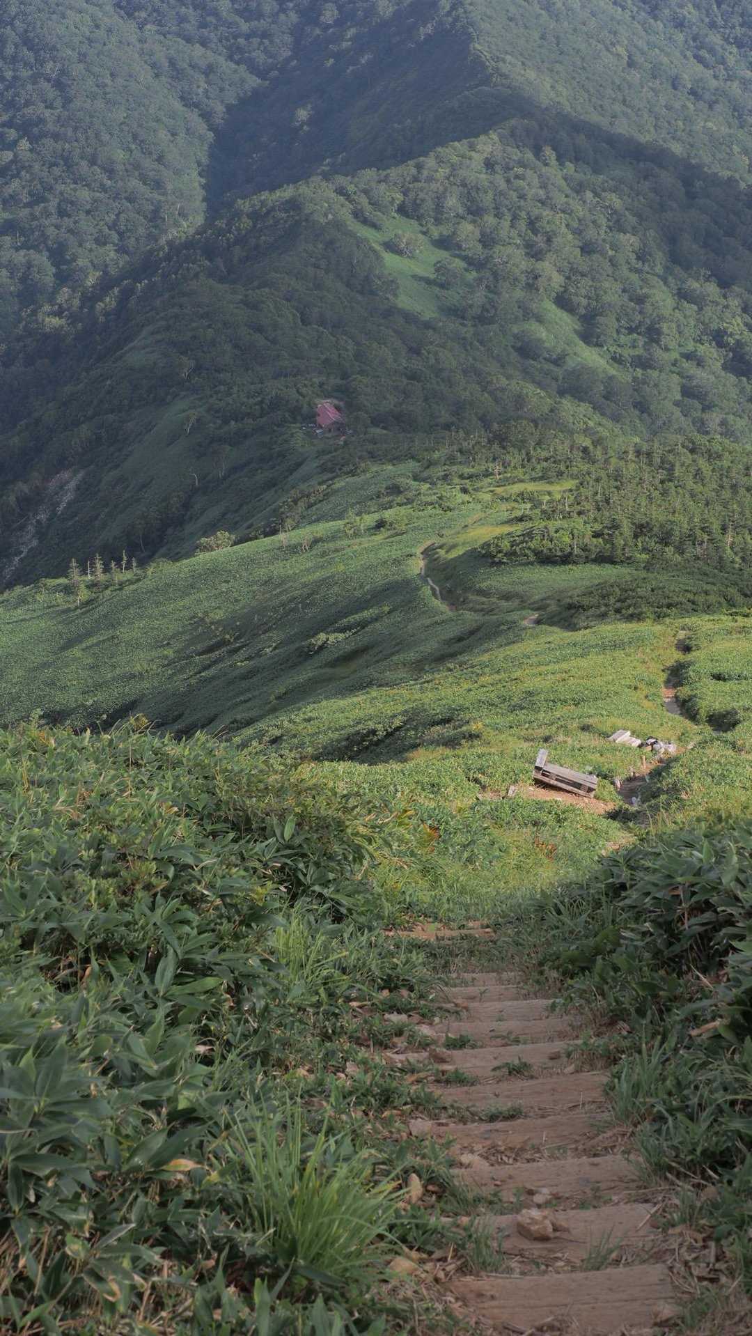 谷川岳主脈縦走（平標山・仙ノ倉山・万太郎山・谷川岳） の写真 16
