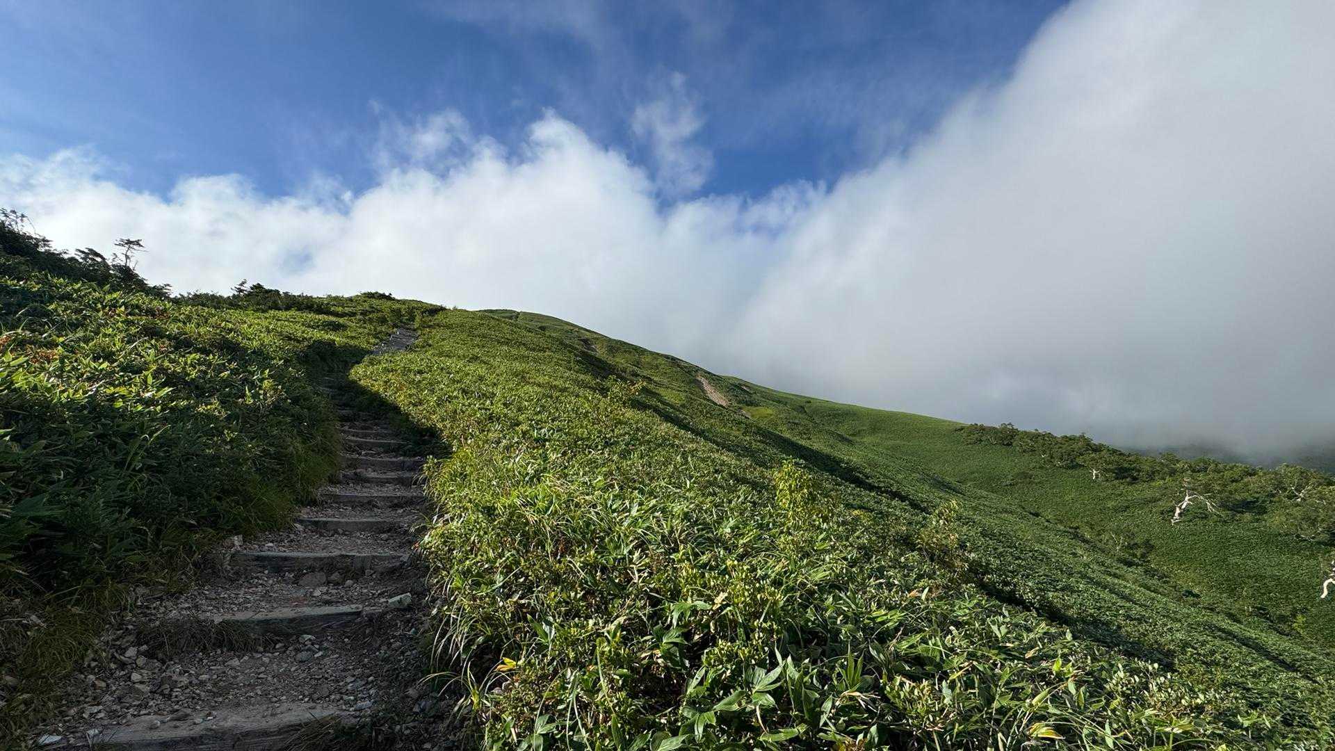 谷川岳主脈縦走（平標山・仙ノ倉山・万太郎山・谷川岳） の写真 17