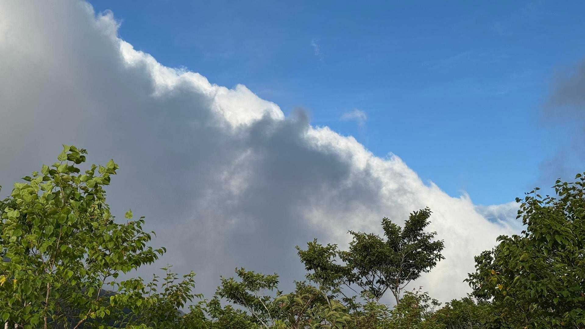谷川岳主脈縦走（平標山・仙ノ倉山・万太郎山・谷川岳） の写真 21