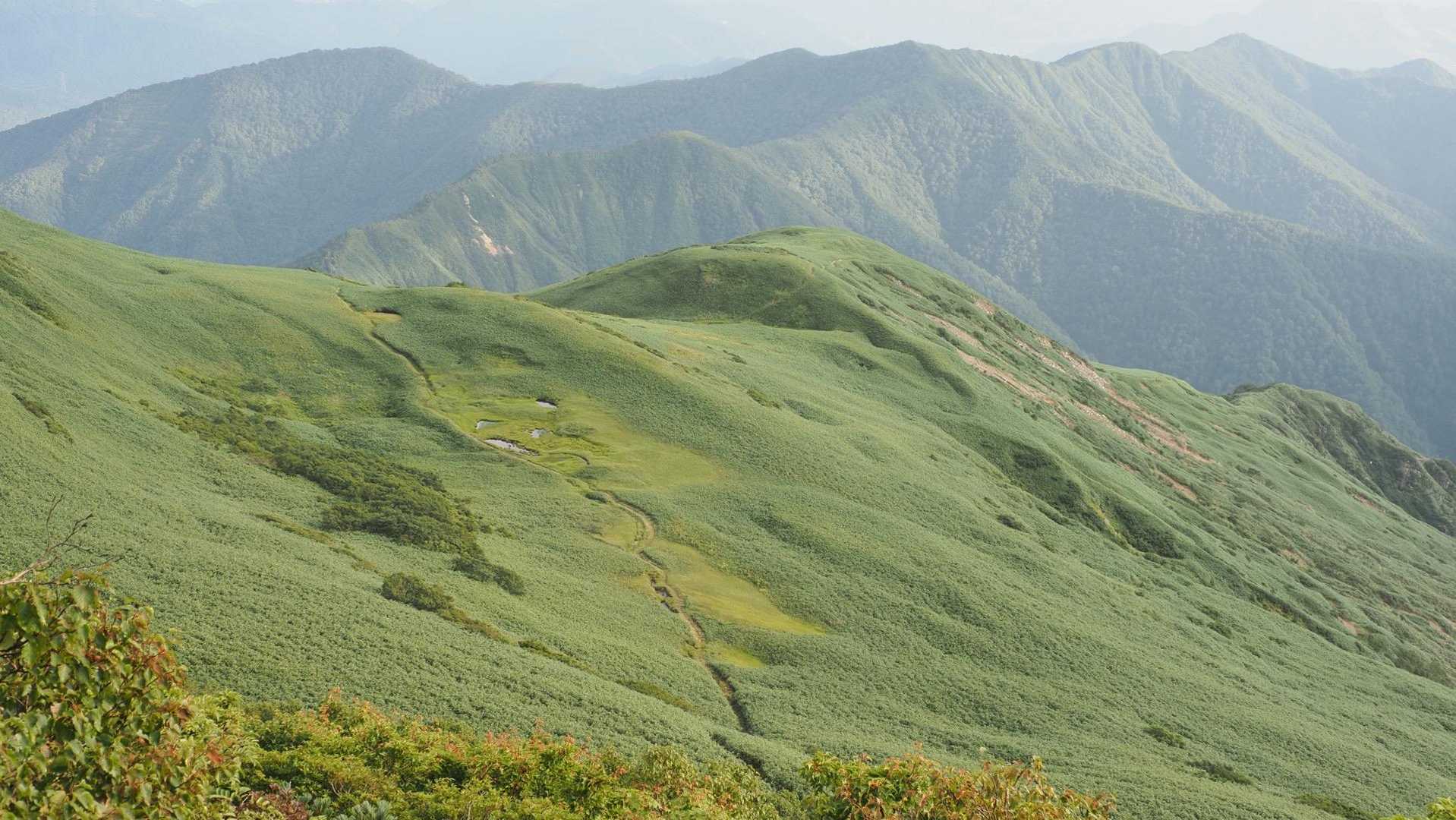 谷川岳主脈縦走（平標山・仙ノ倉山・万太郎山・谷川岳） の写真 36