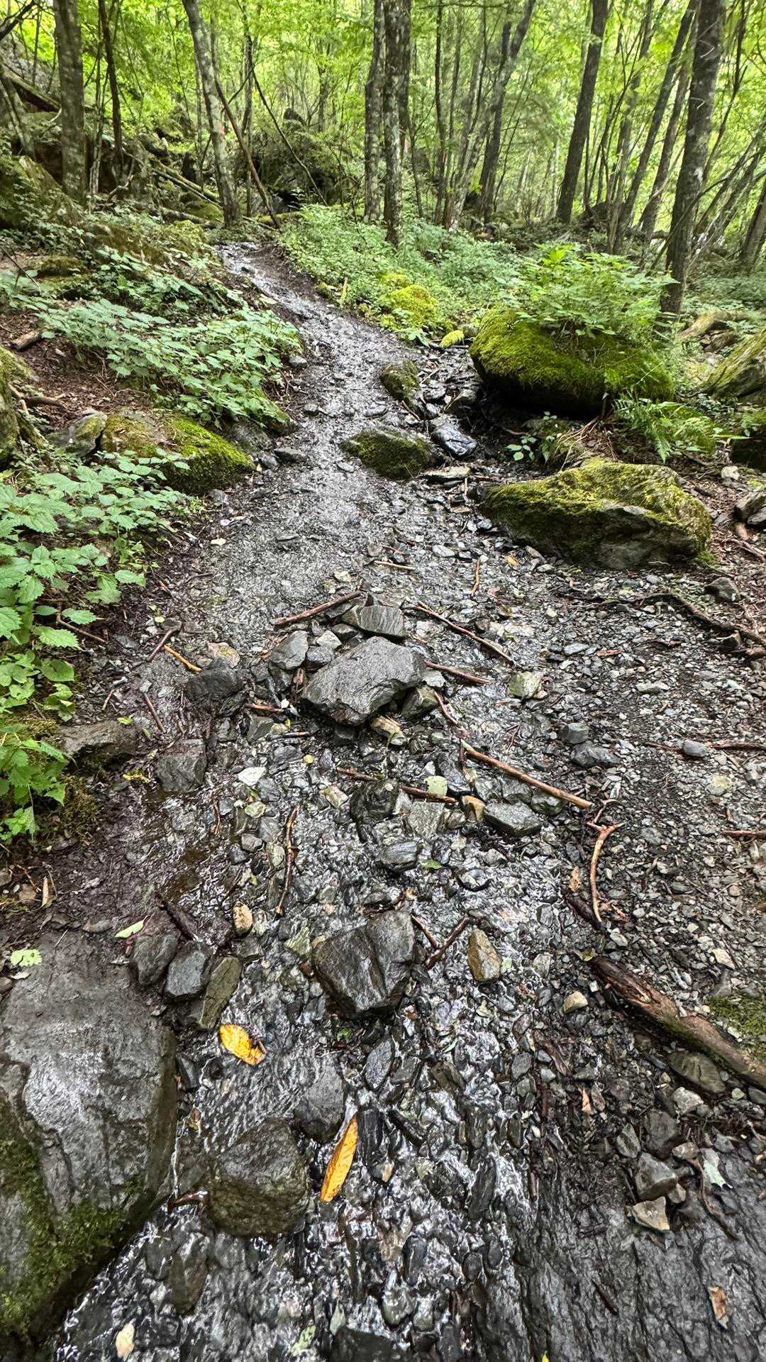 白根三山（北岳・間ノ岳・農鳥岳）、テン泊縦走 の写真 72
