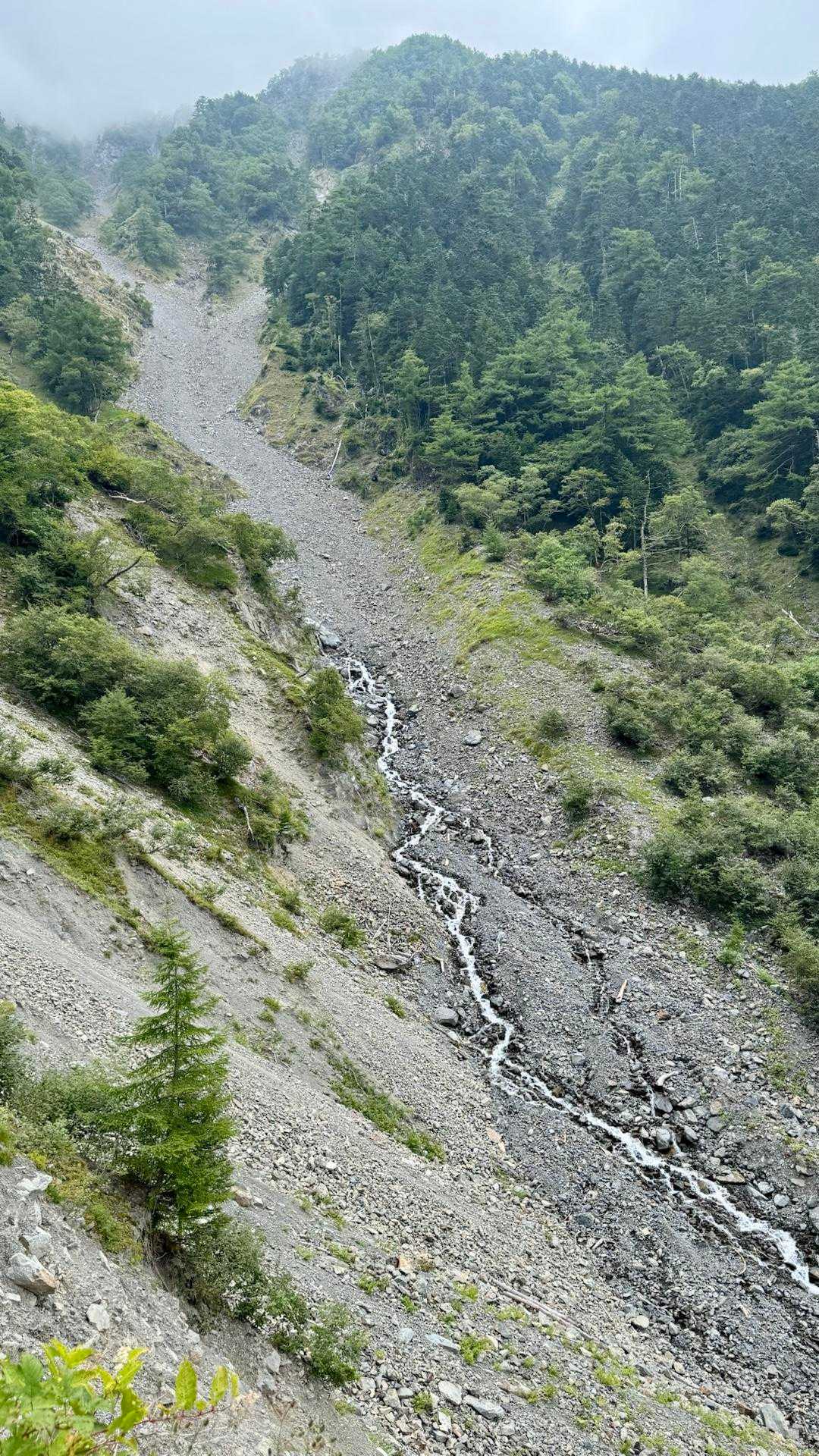 白根三山（北岳・間ノ岳・農鳥岳）、テン泊縦走 の写真 69