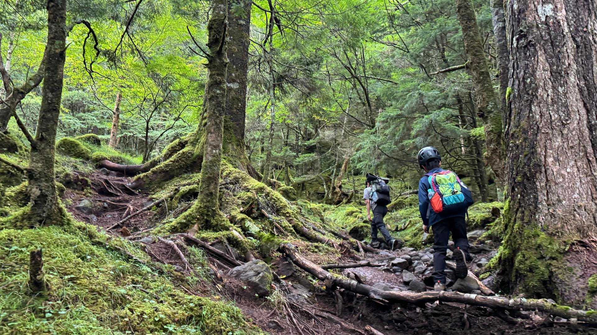 八ヶ岳（赤岳・地蔵ノ頭周回） の写真 2