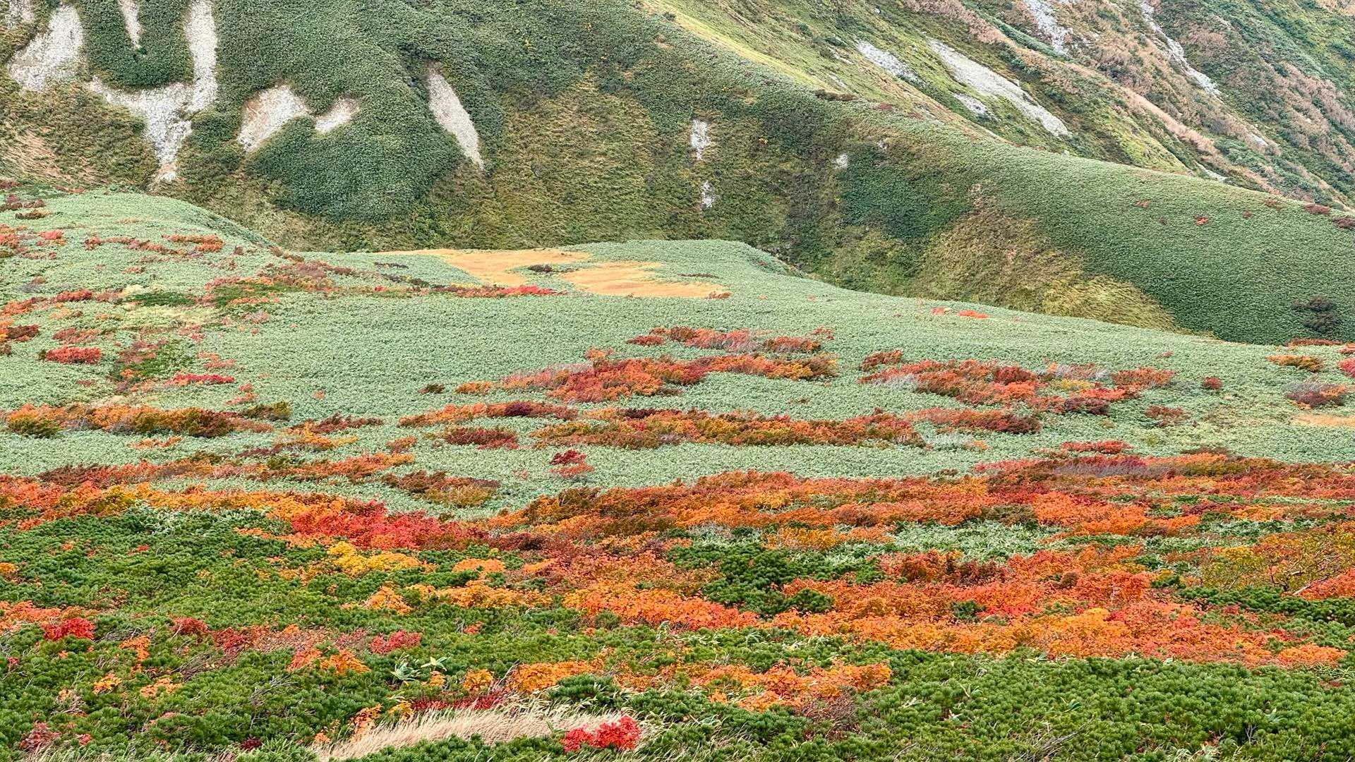 大朝日岳（古寺山・小朝日岳） の写真 38