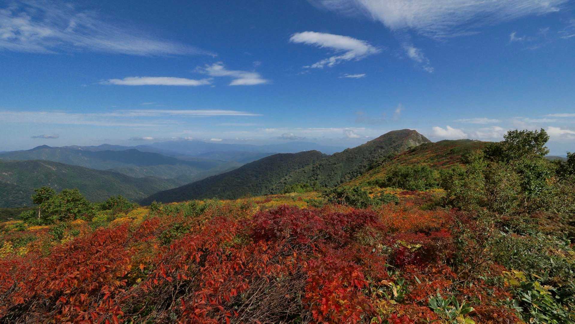 大朝日岳（古寺山・小朝日岳） の写真 23
