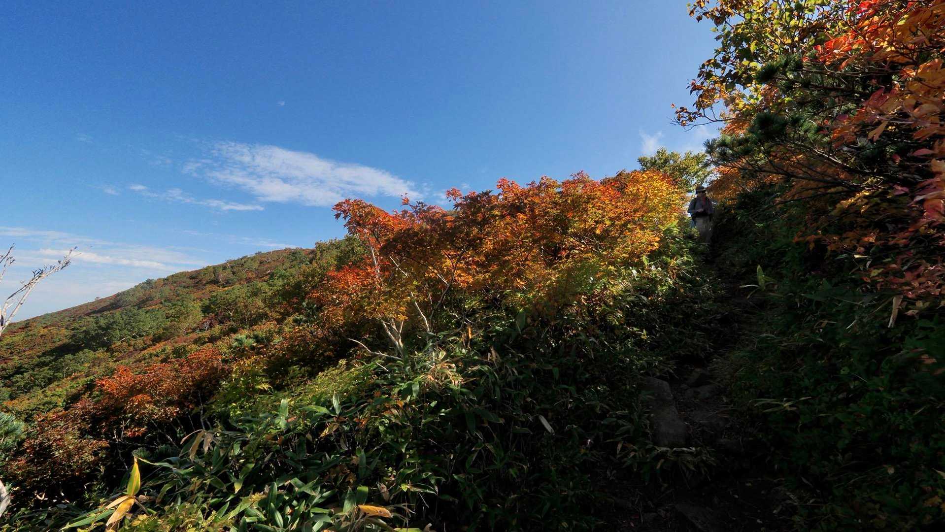 大朝日岳（古寺山・小朝日岳） の写真 18