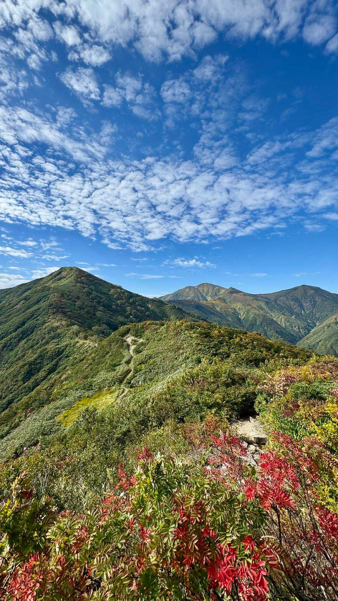 大朝日岳（古寺山・小朝日岳） の写真 12