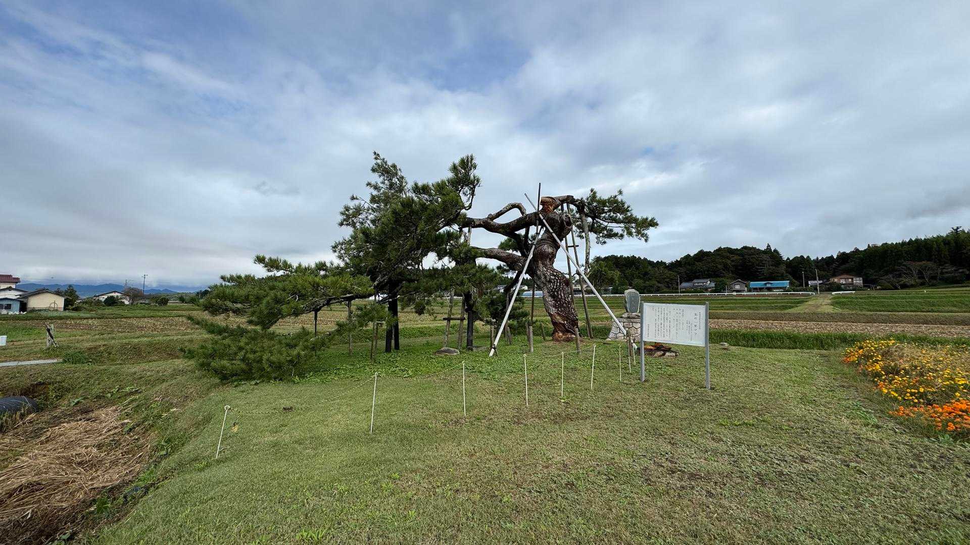 ふくしま浜街道トレイル#4（原ノ町駅〜北泉〜大洲海岸〜松川浦） の写真 7