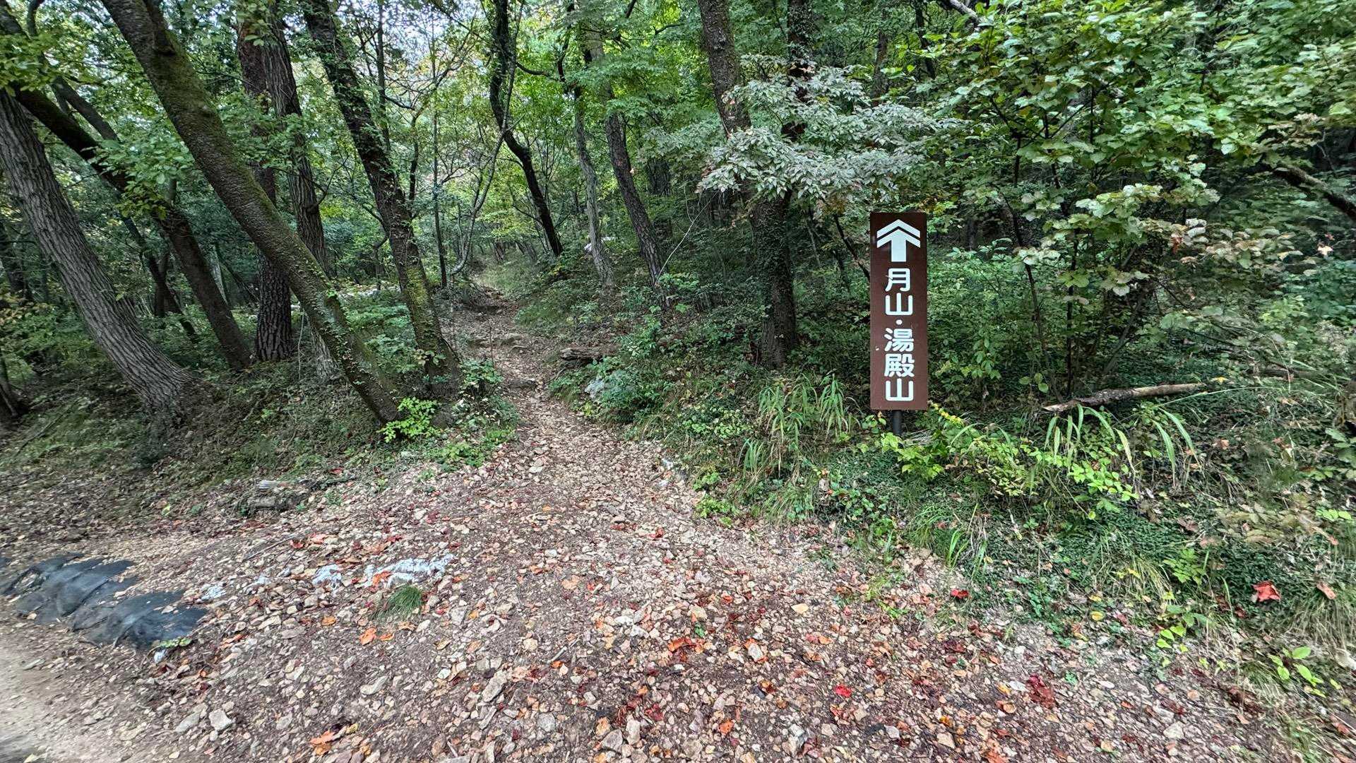 信夫山、ツインピークプチ縦走 の写真 15