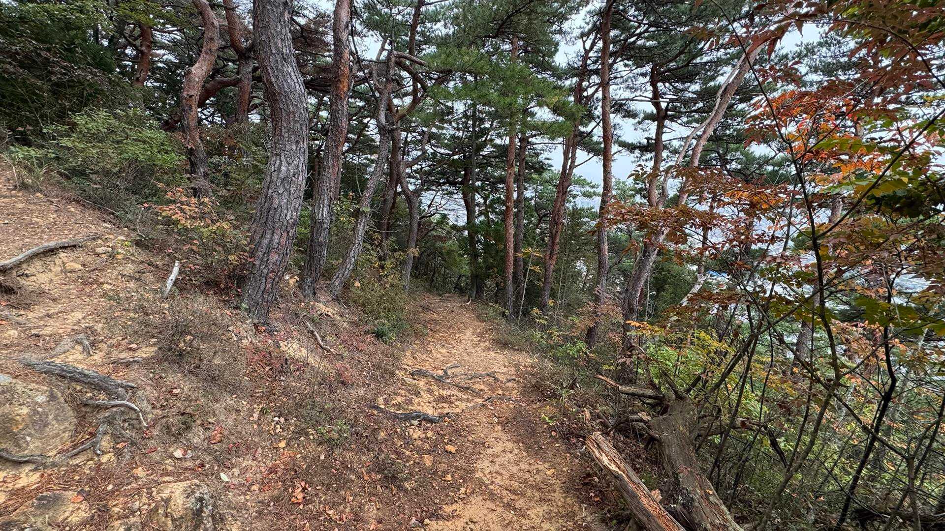信夫山、ツインピークプチ縦走 の写真 14