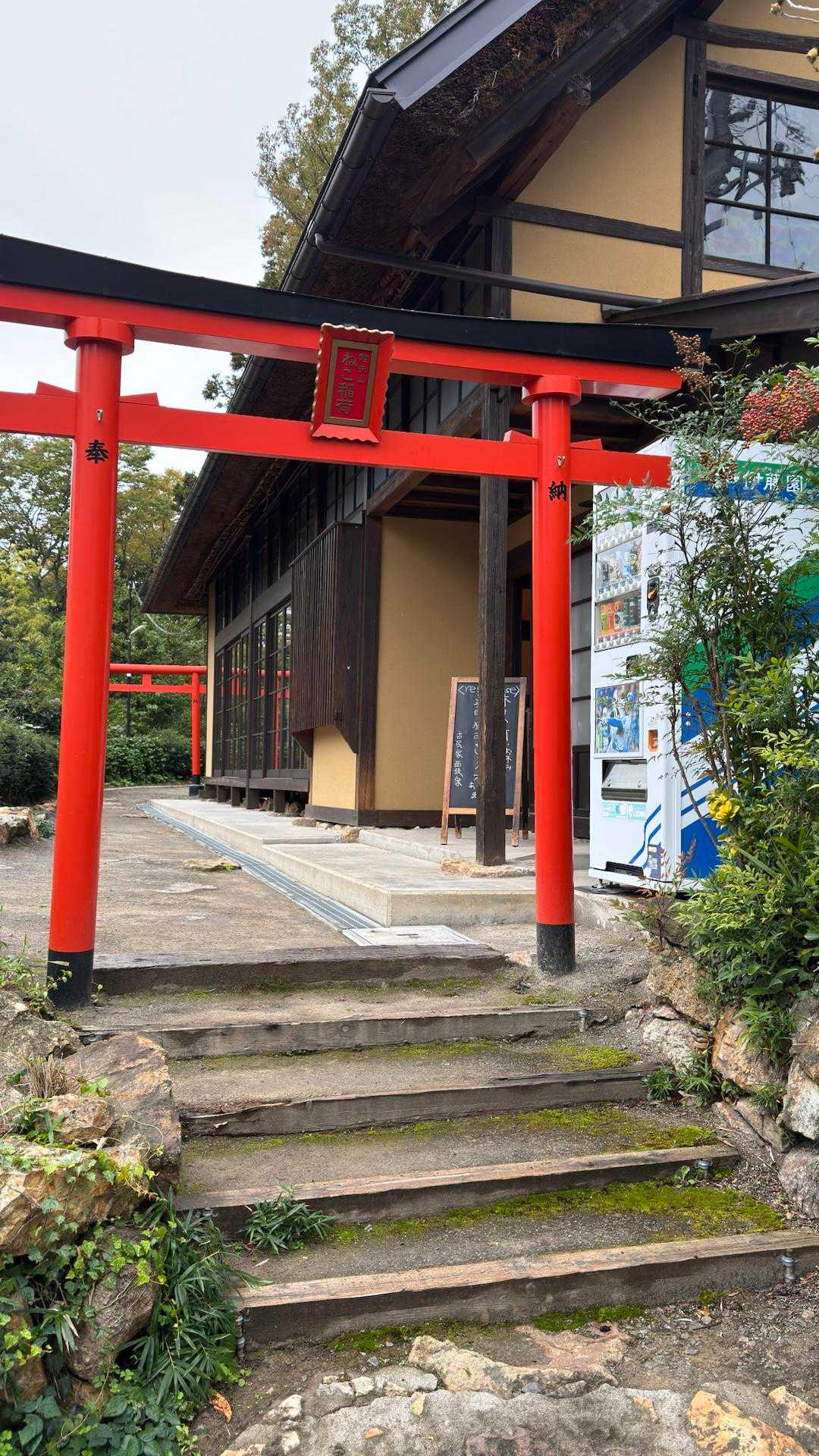 信夫山、ツインピークプチ縦走 の写真 7