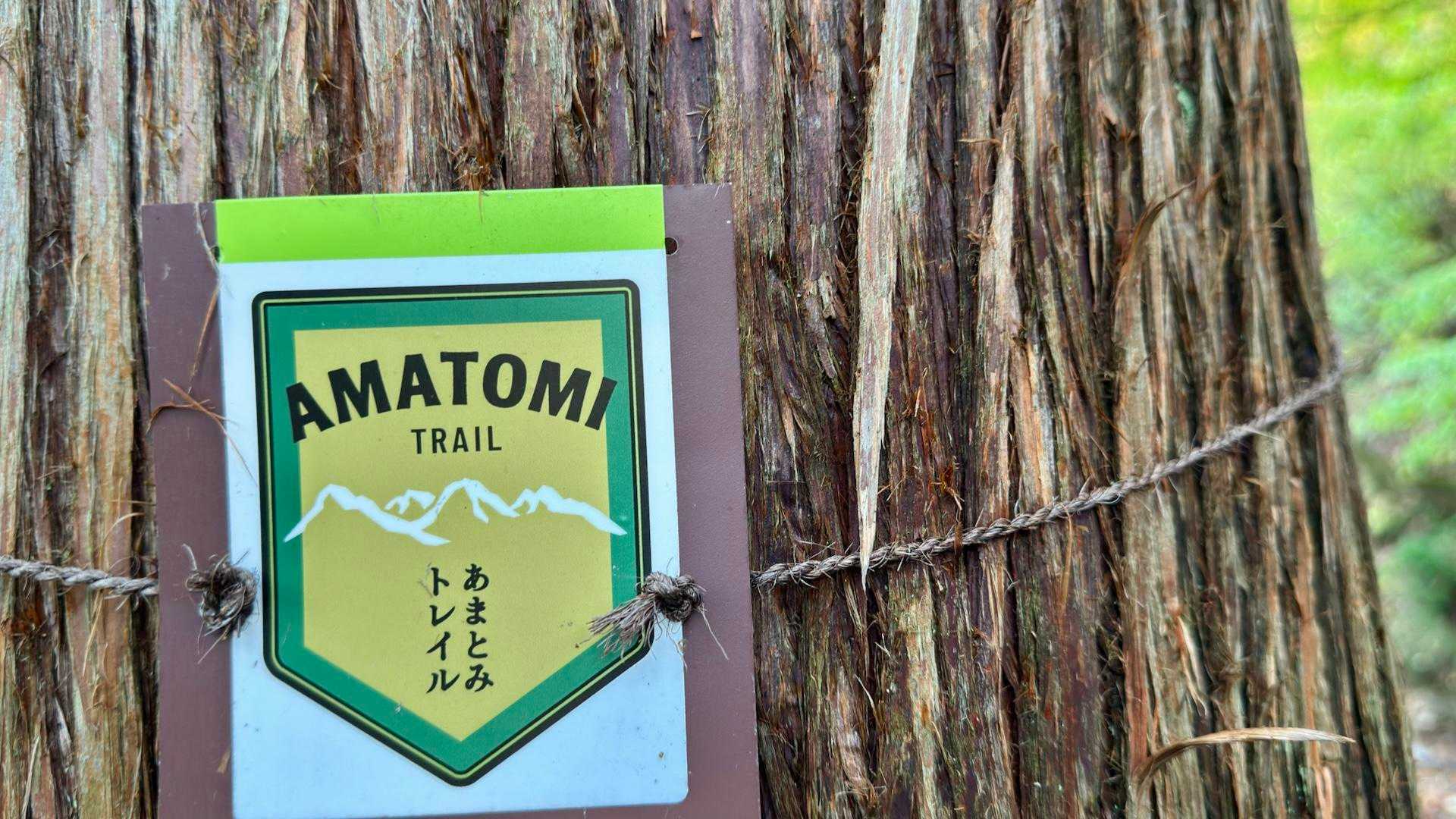 あまとみトレイル#2（戸隠キャンプ場〜苗名の滝〜野尻湖〜斑尾山※迂回区間有）、完走？ の写真 47