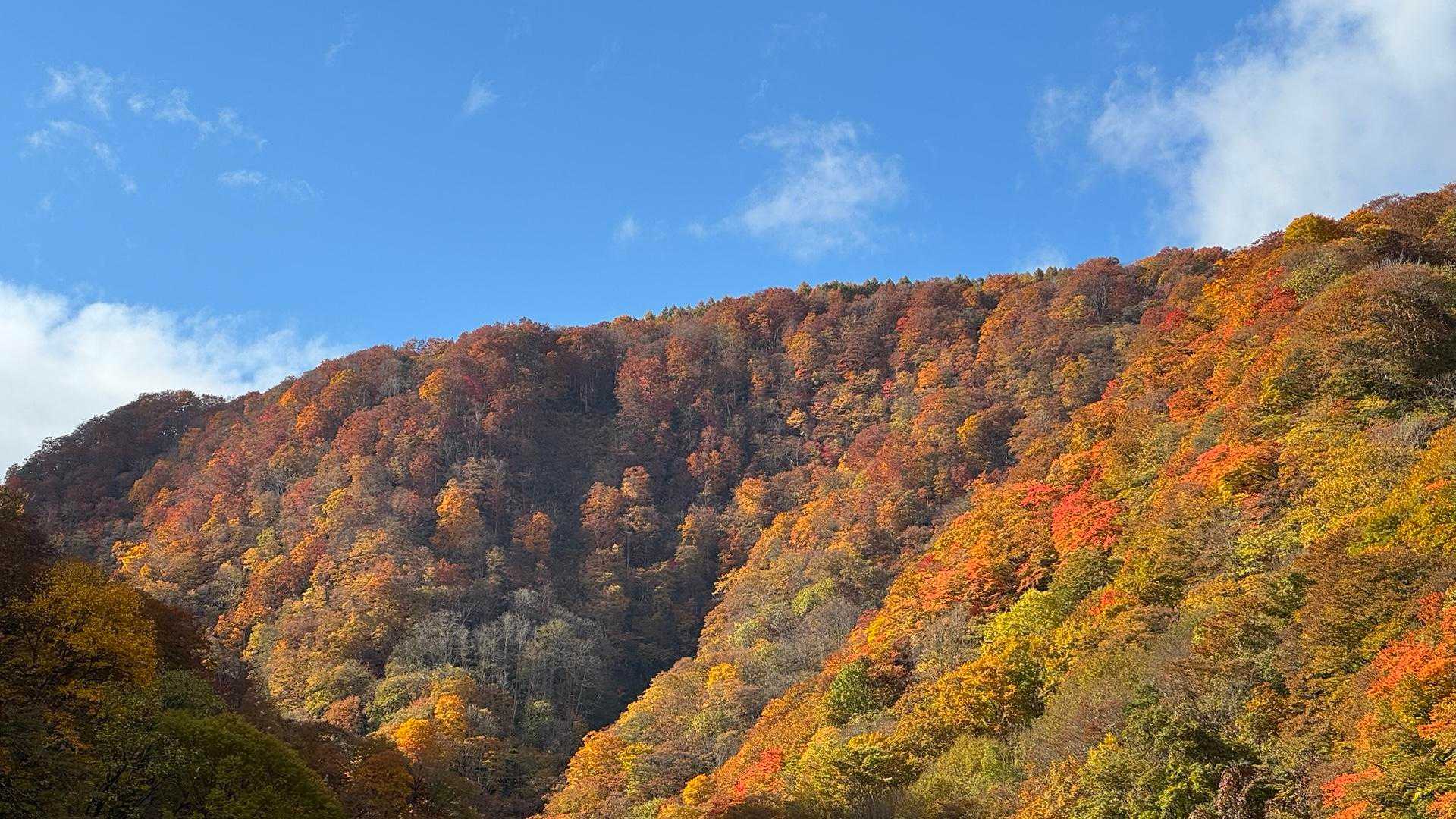あまとみトレイル#2（戸隠キャンプ場〜苗名の滝〜野尻湖〜斑尾山※迂回区間有）、完走？ の写真 55