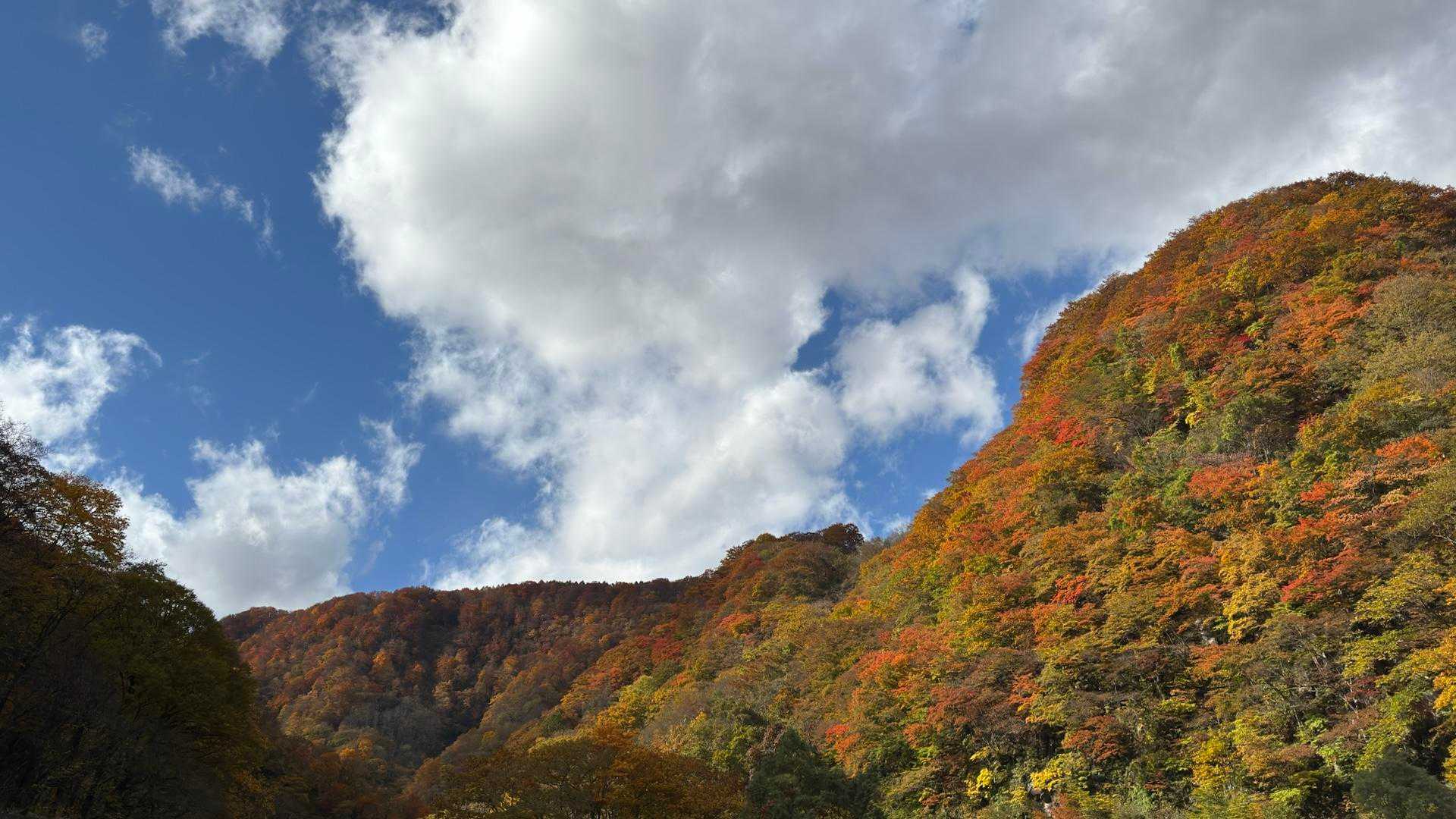 あまとみトレイル#2（戸隠キャンプ場〜苗名の滝〜野尻湖〜斑尾山※迂回区間有）、完走？ の写真 53