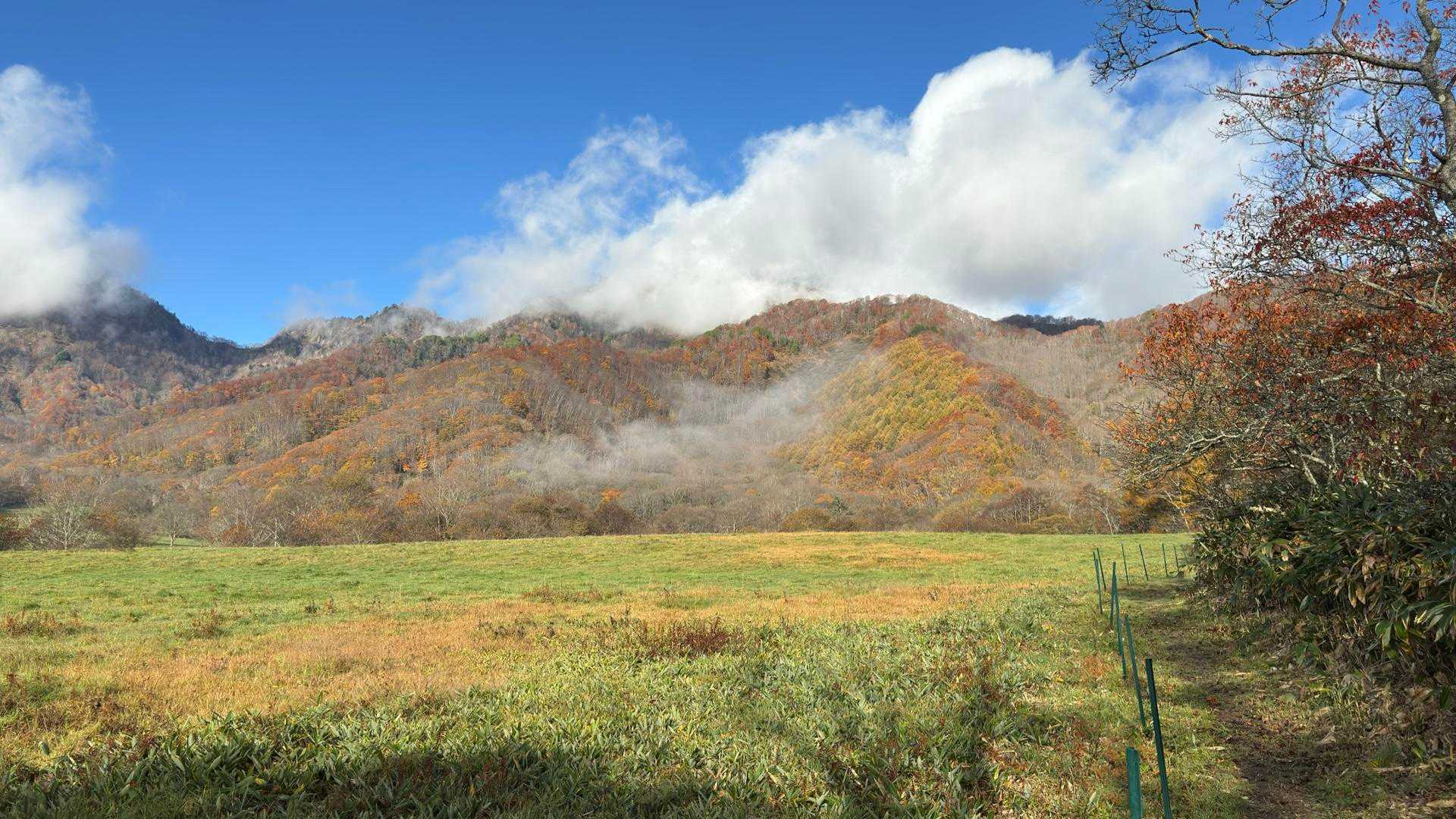 あまとみトレイル#2（戸隠キャンプ場〜苗名の滝〜野尻湖〜斑尾山※迂回区間有）、完走？ の写真 21