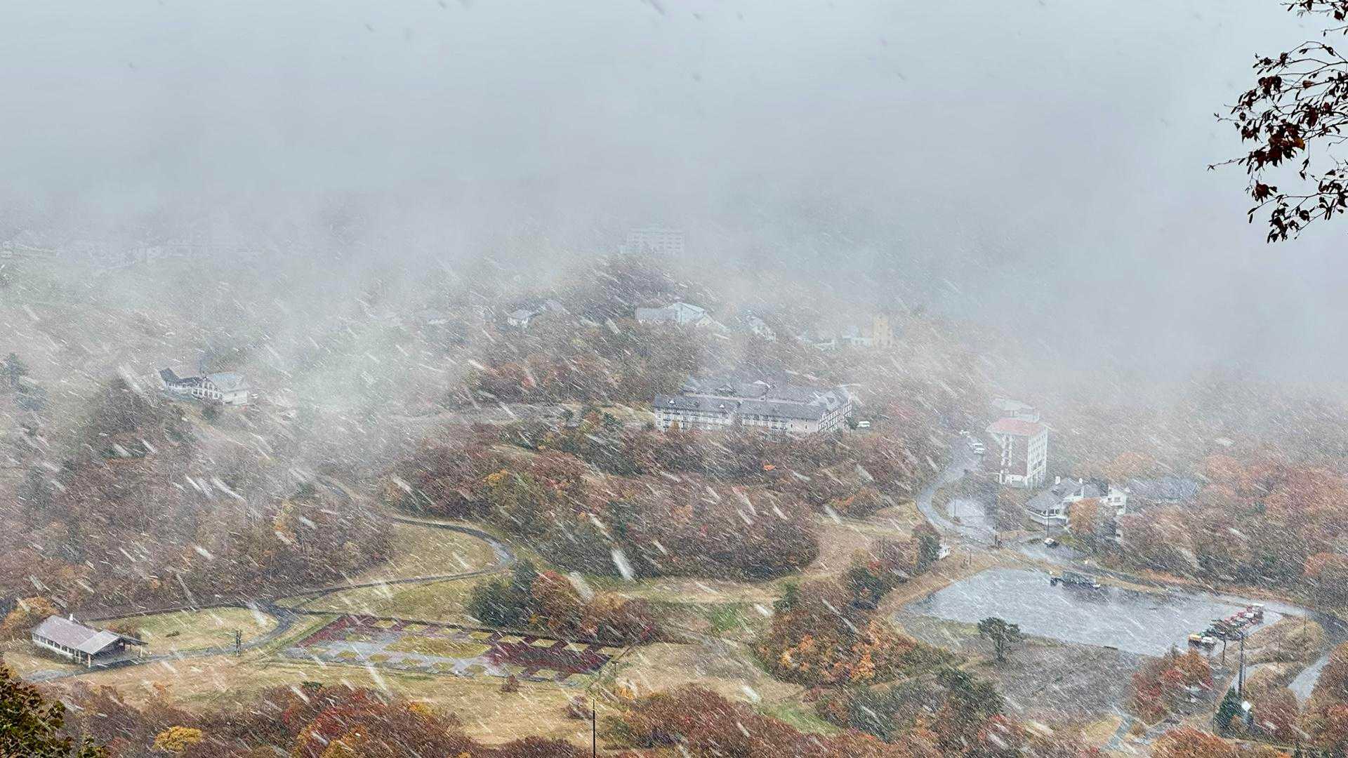 吹雪いてました