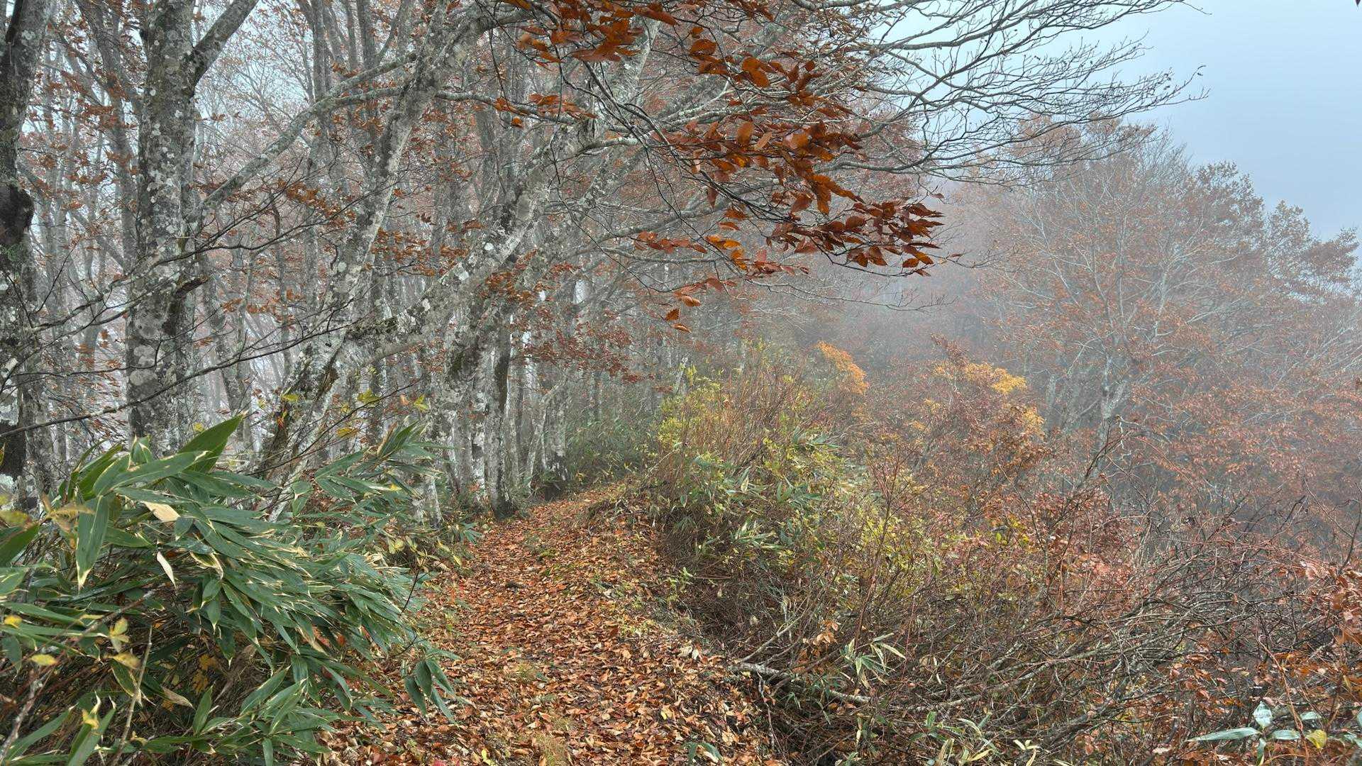 あまとみトレイル#2（戸隠キャンプ場〜苗名の滝〜野尻湖〜斑尾山※迂回区間有）、完走？ の写真 138