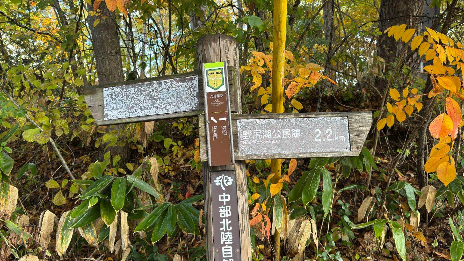 あまとみトレイル#2（戸隠キャンプ場〜苗名の滝〜野尻湖〜斑尾山※迂回区間有）、完走？ の写真 104