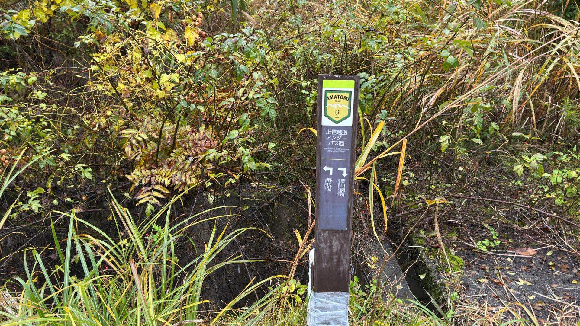 あまとみトレイル#2（戸隠キャンプ場〜苗名の滝〜野尻湖〜斑尾山※迂回区間有）、完走？ の写真 100