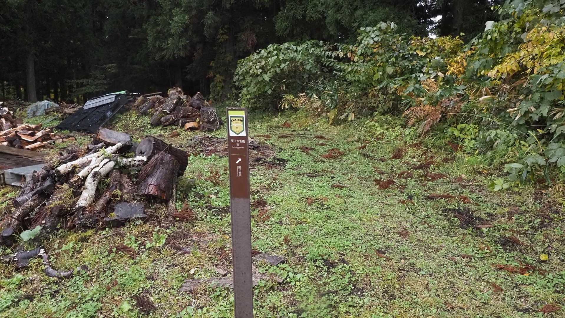 あまとみトレイル#2（戸隠キャンプ場〜苗名の滝〜野尻湖〜斑尾山※迂回区間有）、完走？ の写真 89