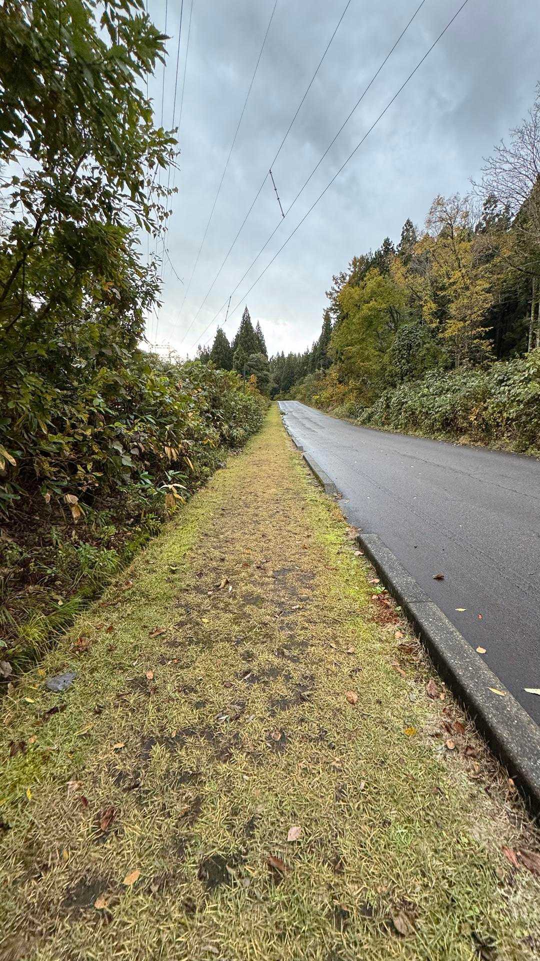 日本中こういう歩道にして欲しい！
