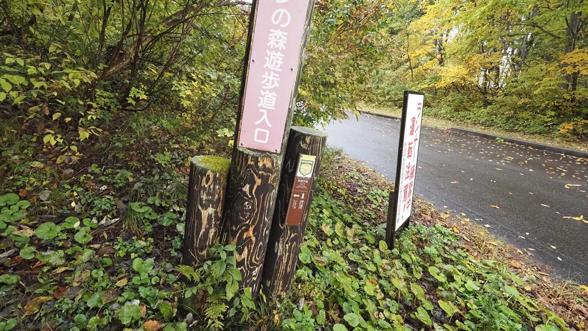 あまとみトレイル#2（戸隠キャンプ場〜苗名の滝〜野尻湖〜斑尾山※迂回区間有）、完走？ の写真 84