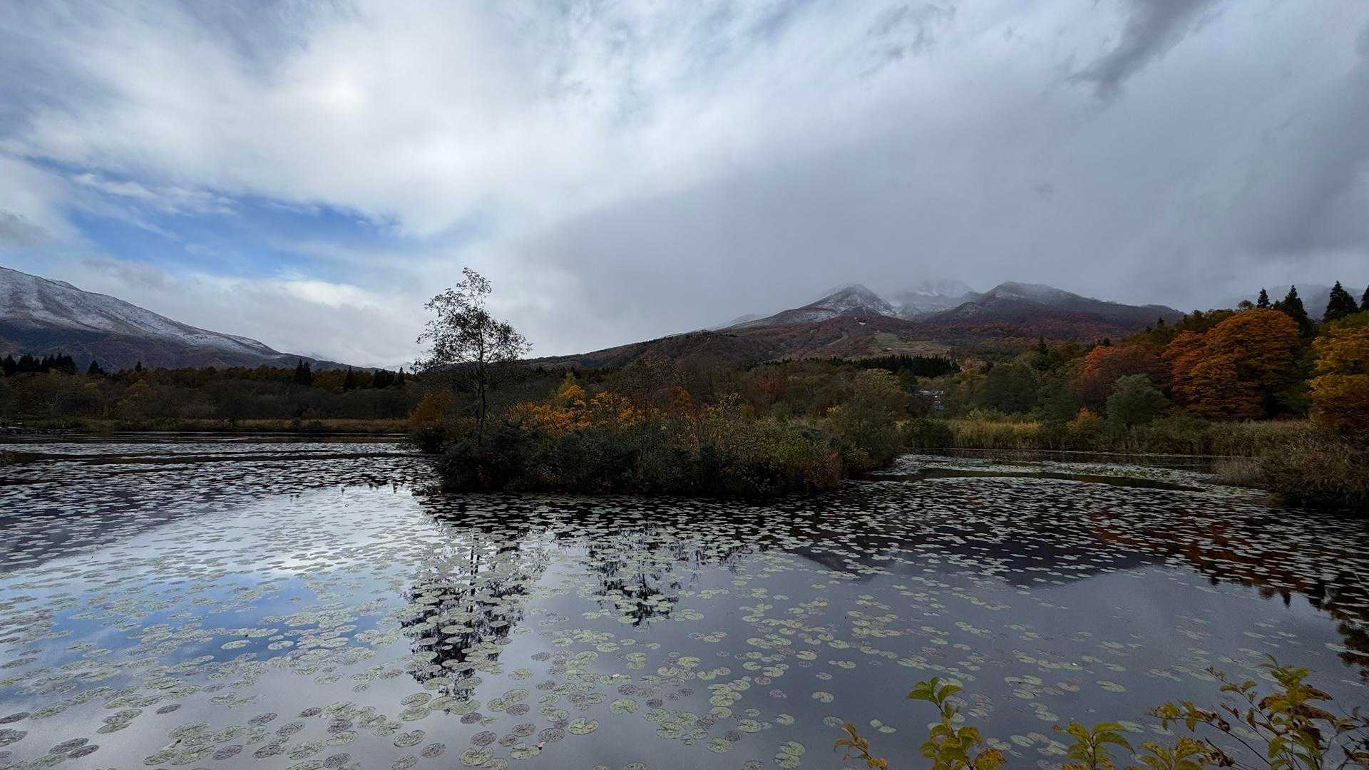 あまとみトレイル#2（戸隠キャンプ場〜苗名の滝〜野尻湖〜斑尾山※迂回区間有）、完走？ の写真 78