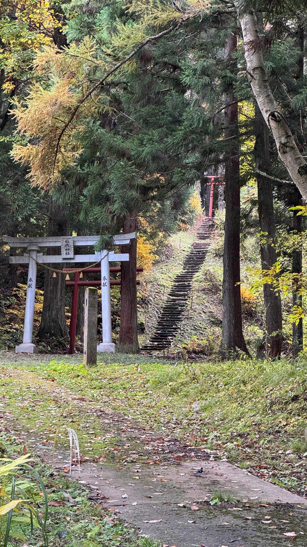 あまとみトレイル#2（戸隠キャンプ場〜苗名の滝〜野尻湖〜斑尾山※迂回区間有）、完走？ の写真 63