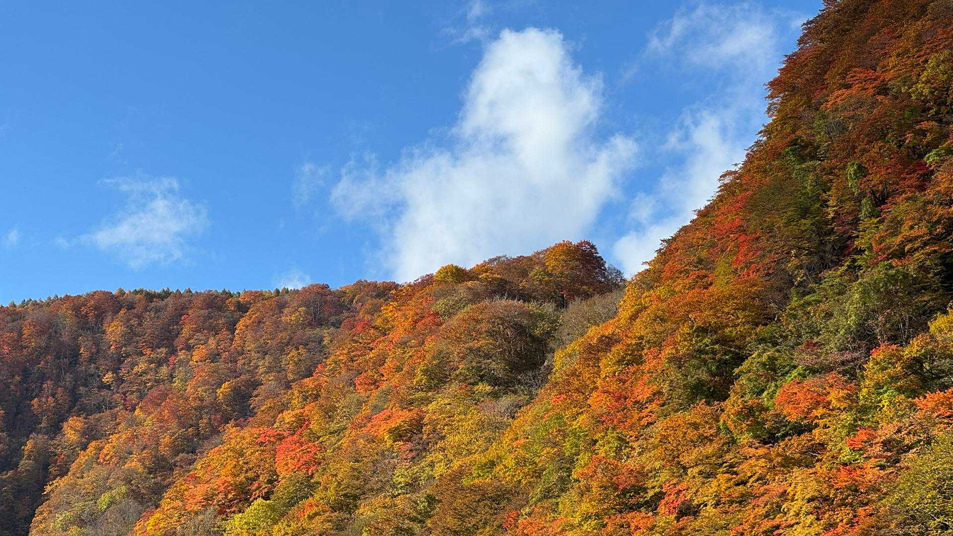あまとみトレイル#2（戸隠キャンプ場〜苗名の滝〜野尻湖〜斑尾山※迂回区間有）、完走？ の写真 56