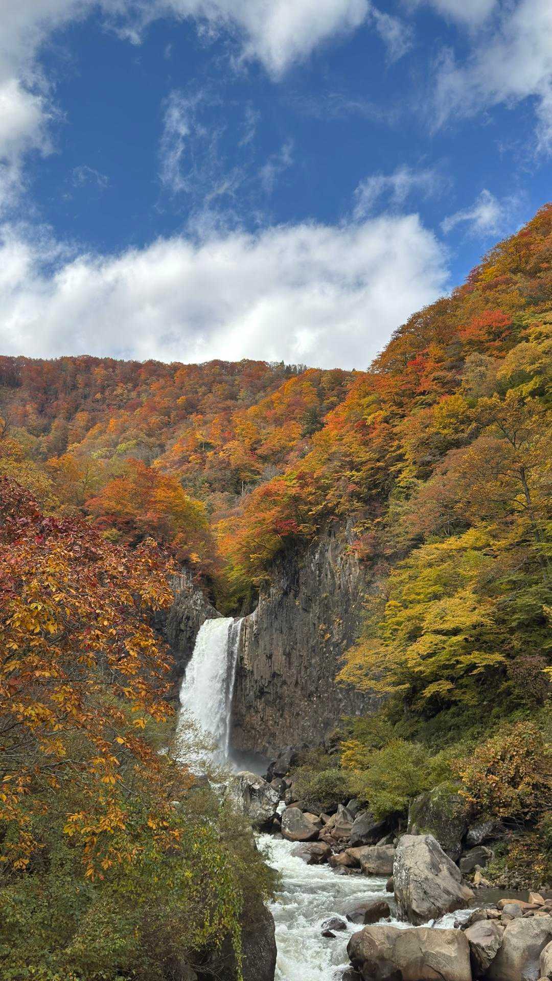 あまとみトレイル#2（戸隠キャンプ場〜苗名の滝〜野尻湖〜斑尾山※迂回区間有）、完走？ の写真 51
