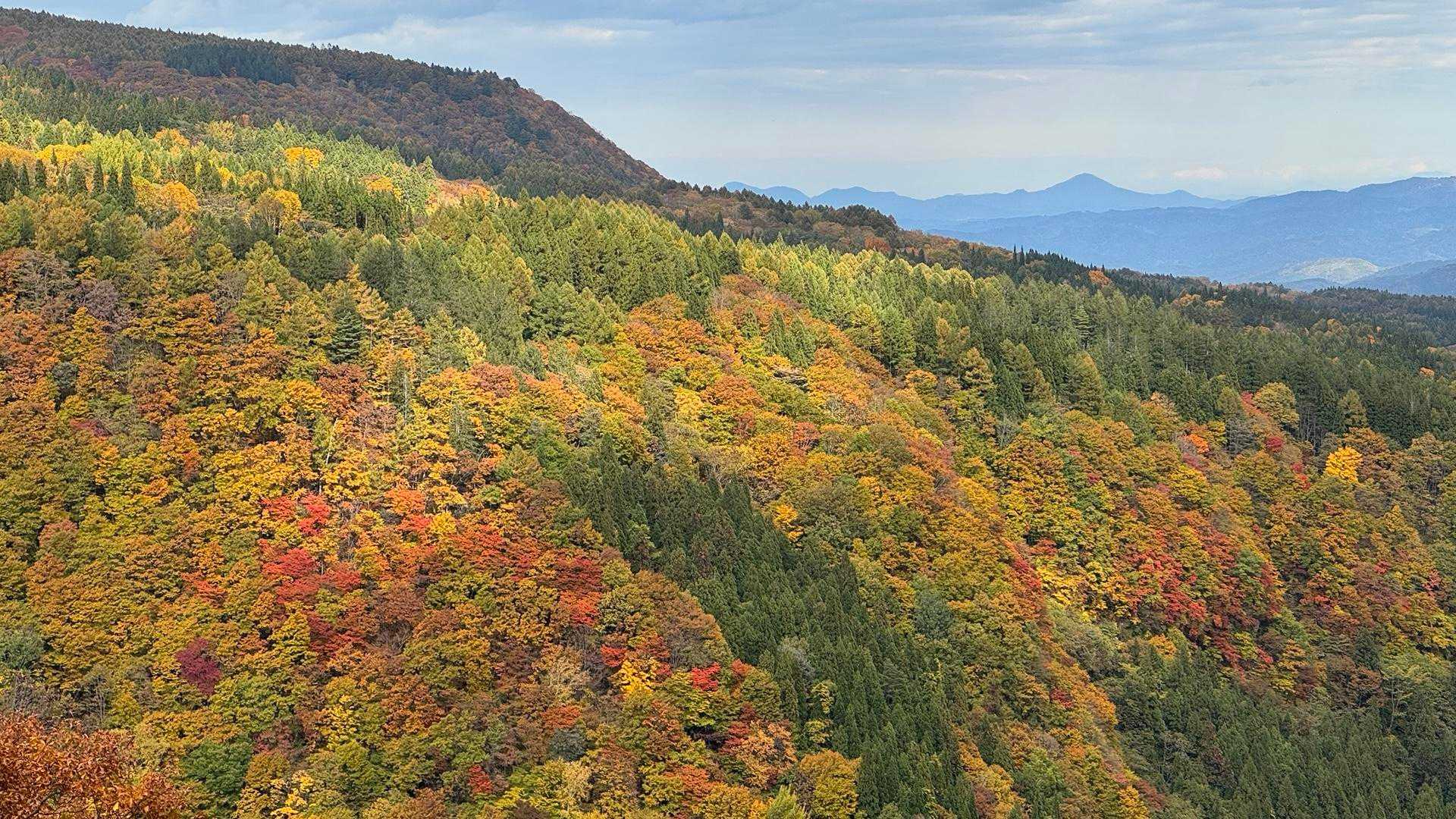 あまとみトレイル#2（戸隠キャンプ場〜苗名の滝〜野尻湖〜斑尾山※迂回区間有）、完走？ の写真 45