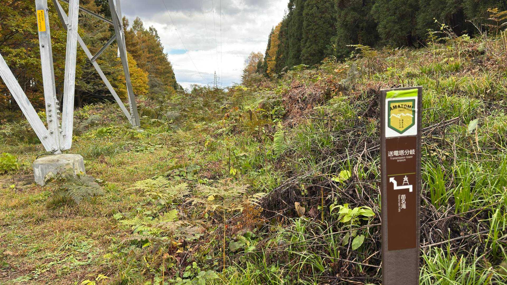 あまとみトレイル#2（戸隠キャンプ場〜苗名の滝〜野尻湖〜斑尾山※迂回区間有）、完走？ の写真 41