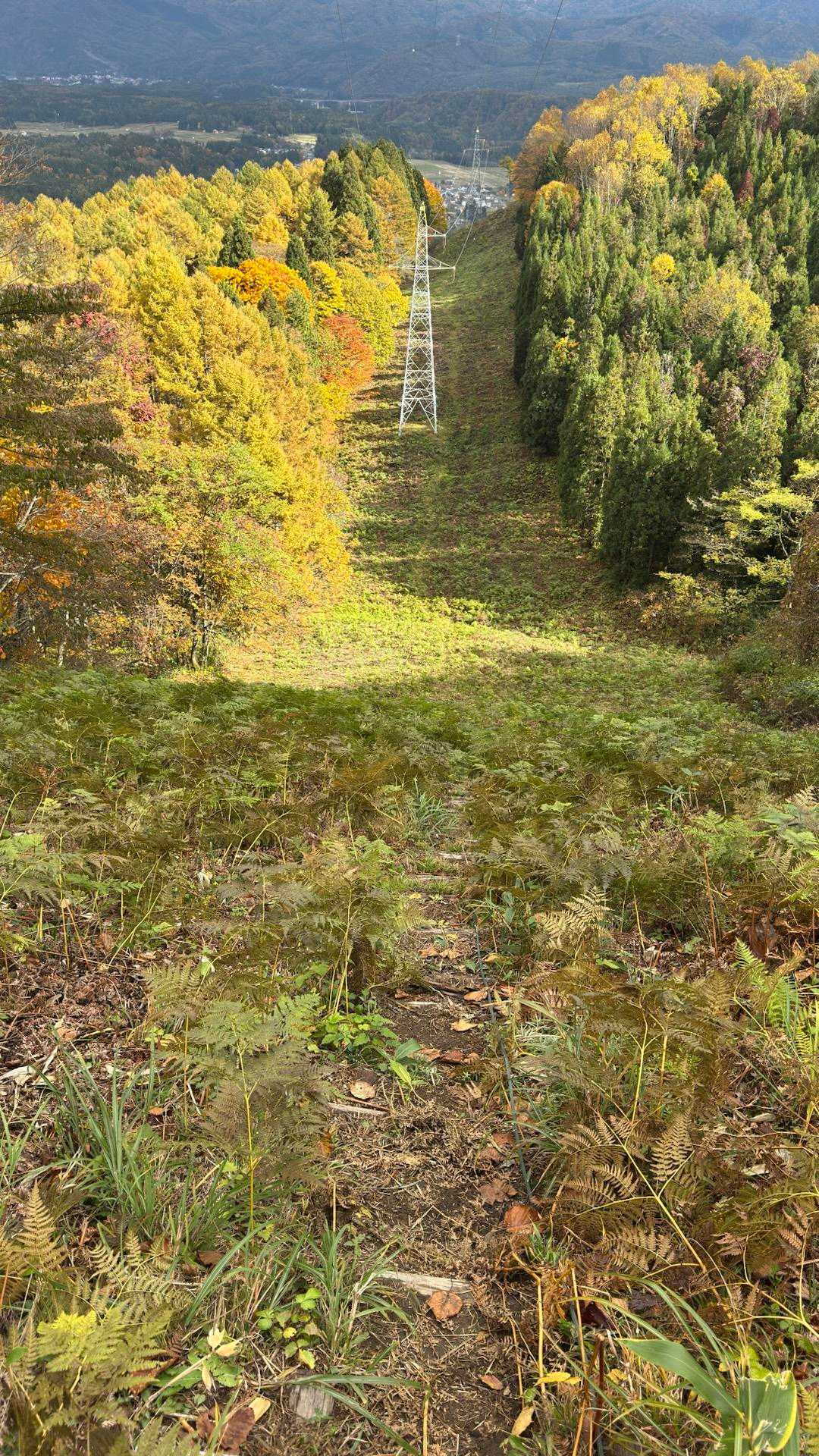 あまとみトレイル#2（戸隠キャンプ場〜苗名の滝〜野尻湖〜斑尾山※迂回区間有）、完走？ の写真 40