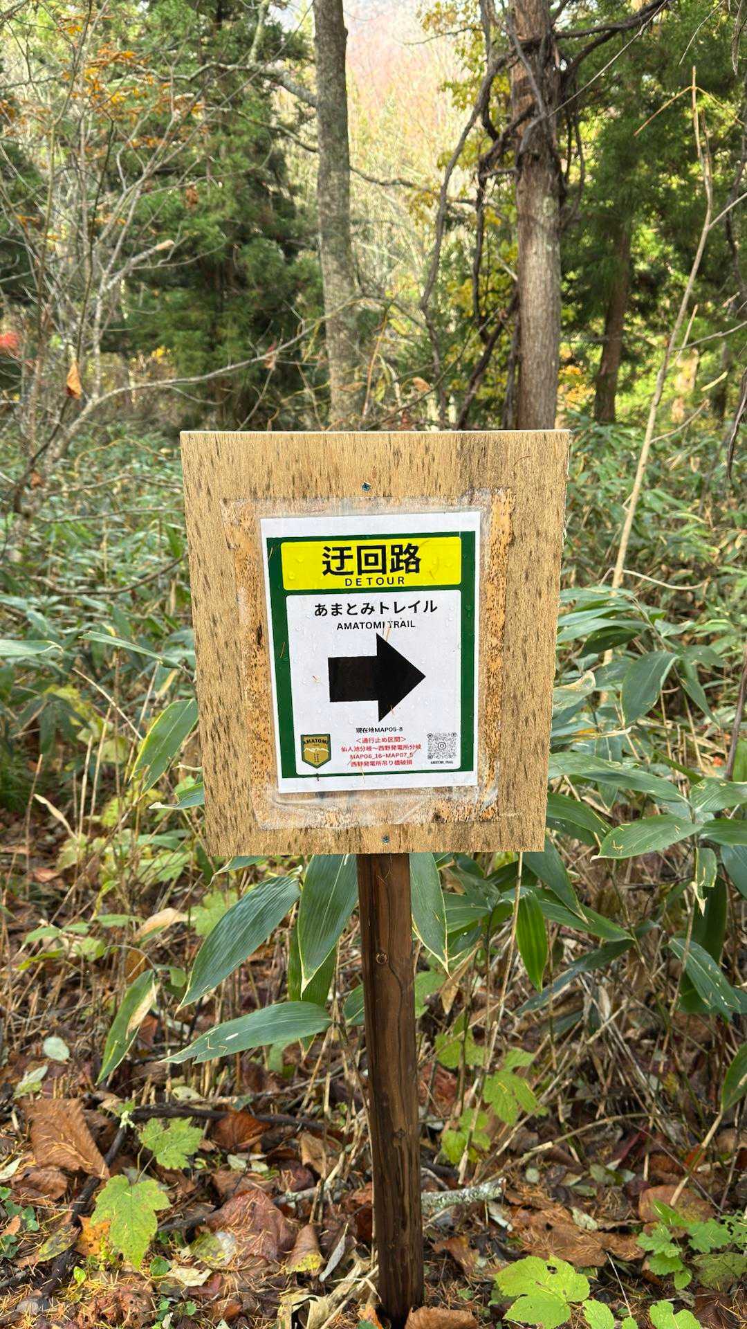 今回は笹ヶ峰へは行かず、苗名の滝方面へ迂回しました