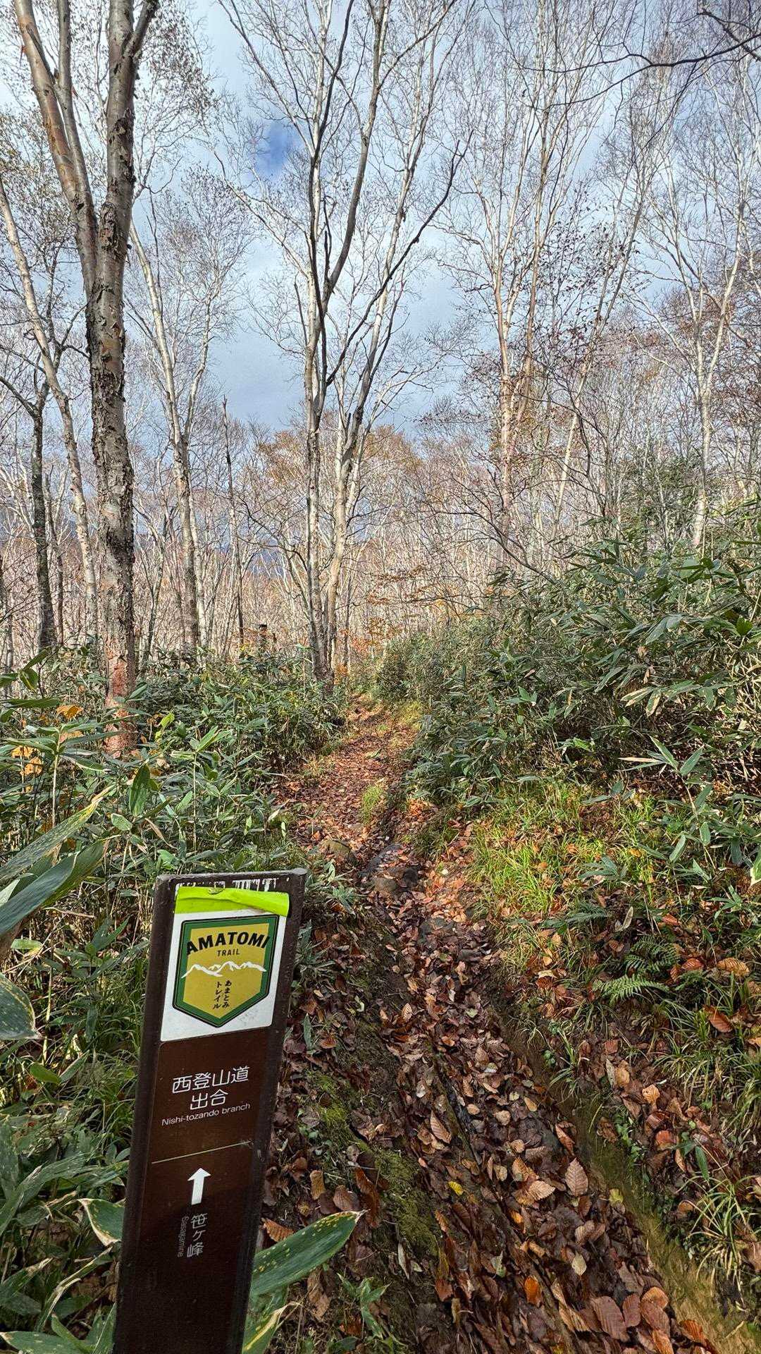 あまとみトレイル#2（戸隠キャンプ場〜苗名の滝〜野尻湖〜斑尾山※迂回区間有）、完走？ の写真 33