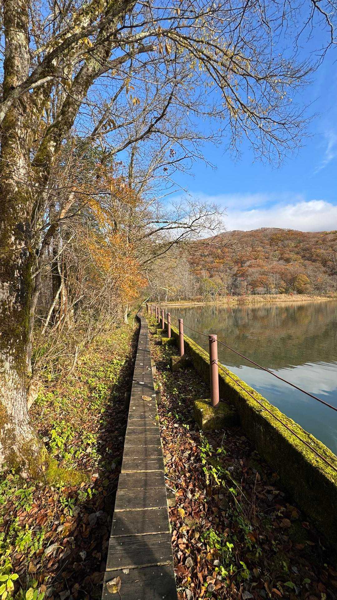 あまとみトレイル#2（戸隠キャンプ場〜苗名の滝〜野尻湖〜斑尾山※迂回区間有）、完走？ の写真 28