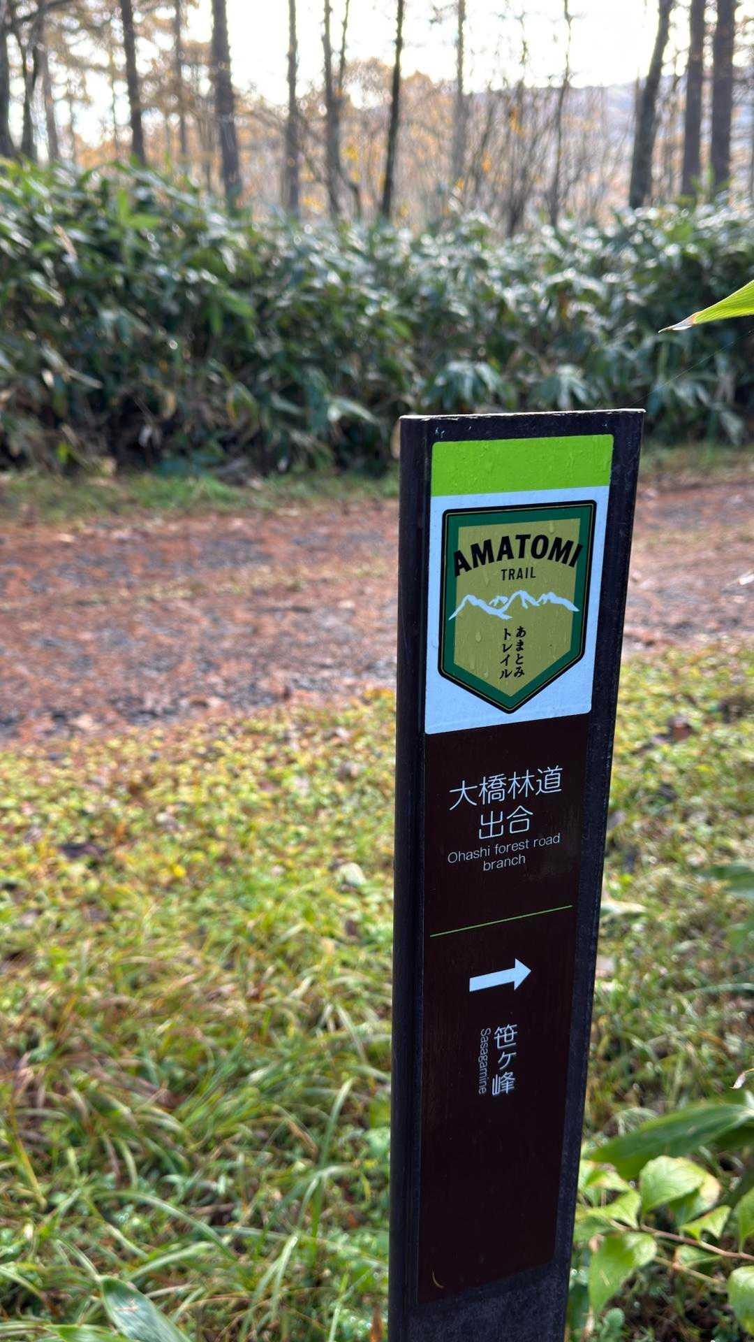 あまとみトレイル#2（戸隠キャンプ場〜苗名の滝〜野尻湖〜斑尾山※迂回区間有）、完走？ の写真 22
