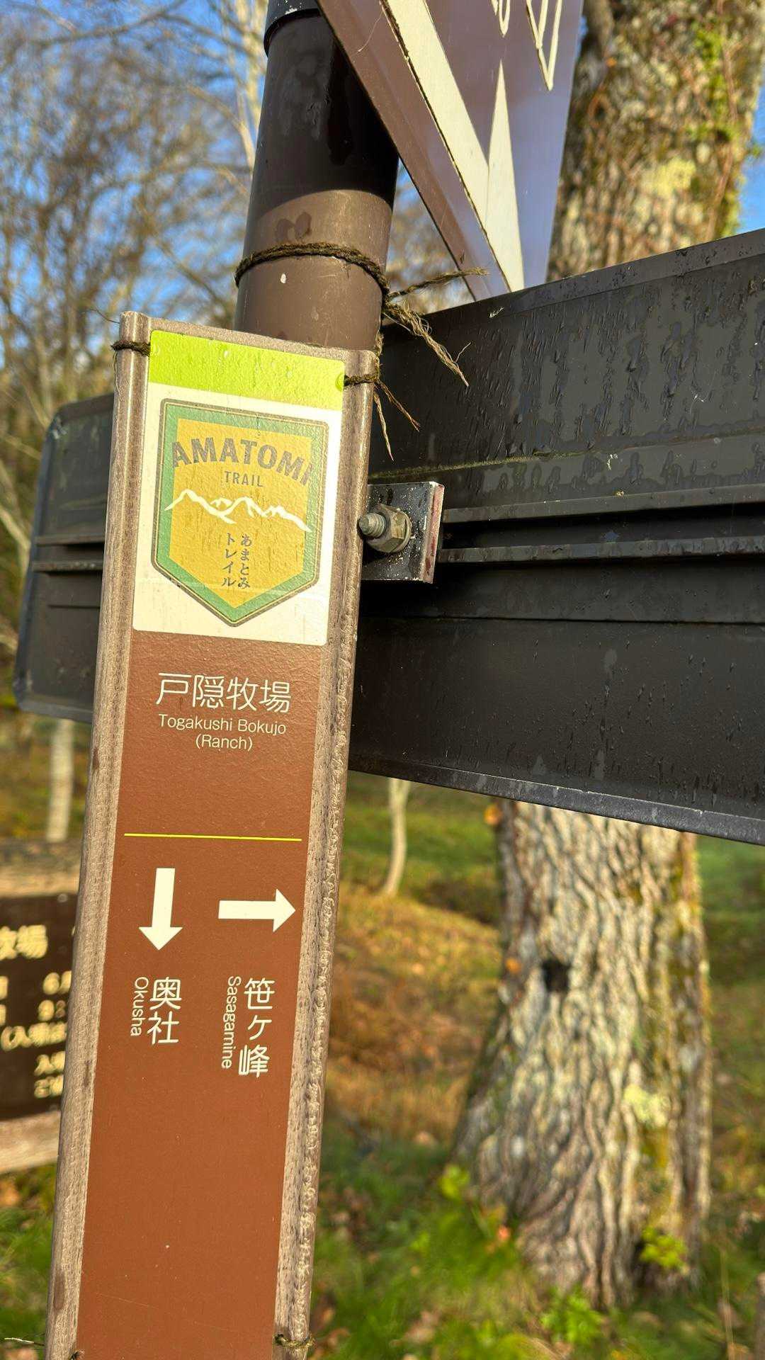 あまとみトレイル#2（戸隠キャンプ場〜苗名の滝〜野尻湖〜斑尾山※迂回区間有）、完走？ の写真 4