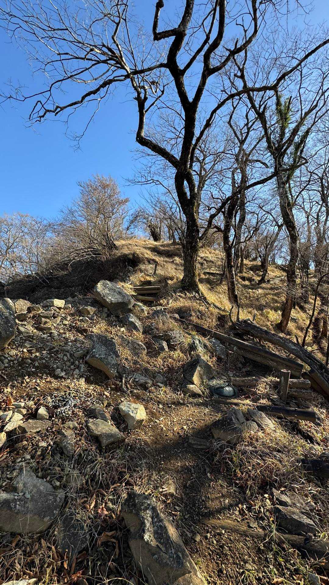 西丹沢縦走（西丹沢VC〜犬越路〜檜洞丸〜箒沢橋） の写真 22
