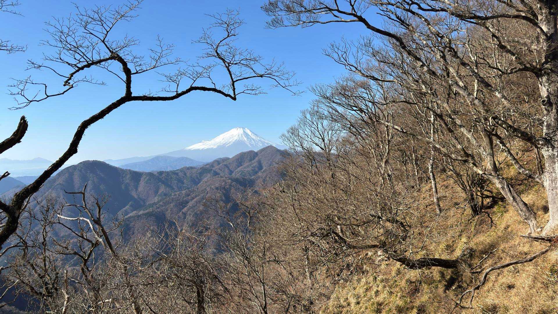 西丹沢縦走（西丹沢VC〜犬越路〜檜洞丸〜箒沢橋） の写真 24