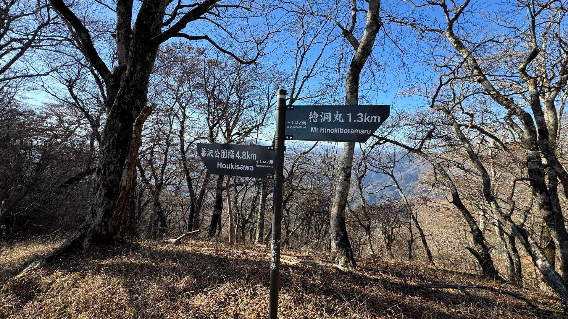 西丹沢縦走（西丹沢VC〜犬越路〜檜洞丸〜箒沢橋） の写真 37
