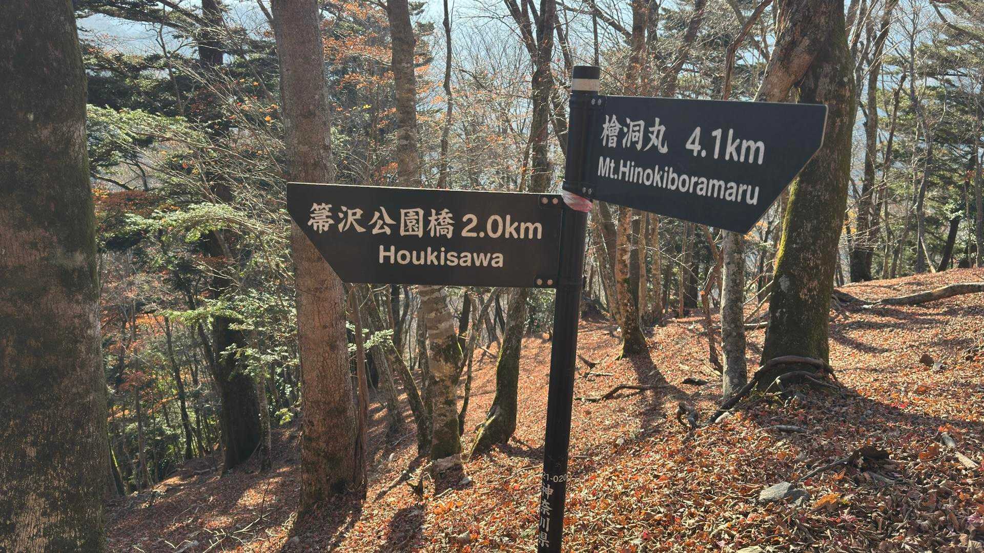 西丹沢縦走（西丹沢VC〜犬越路〜檜洞丸〜箒沢橋） の写真 43